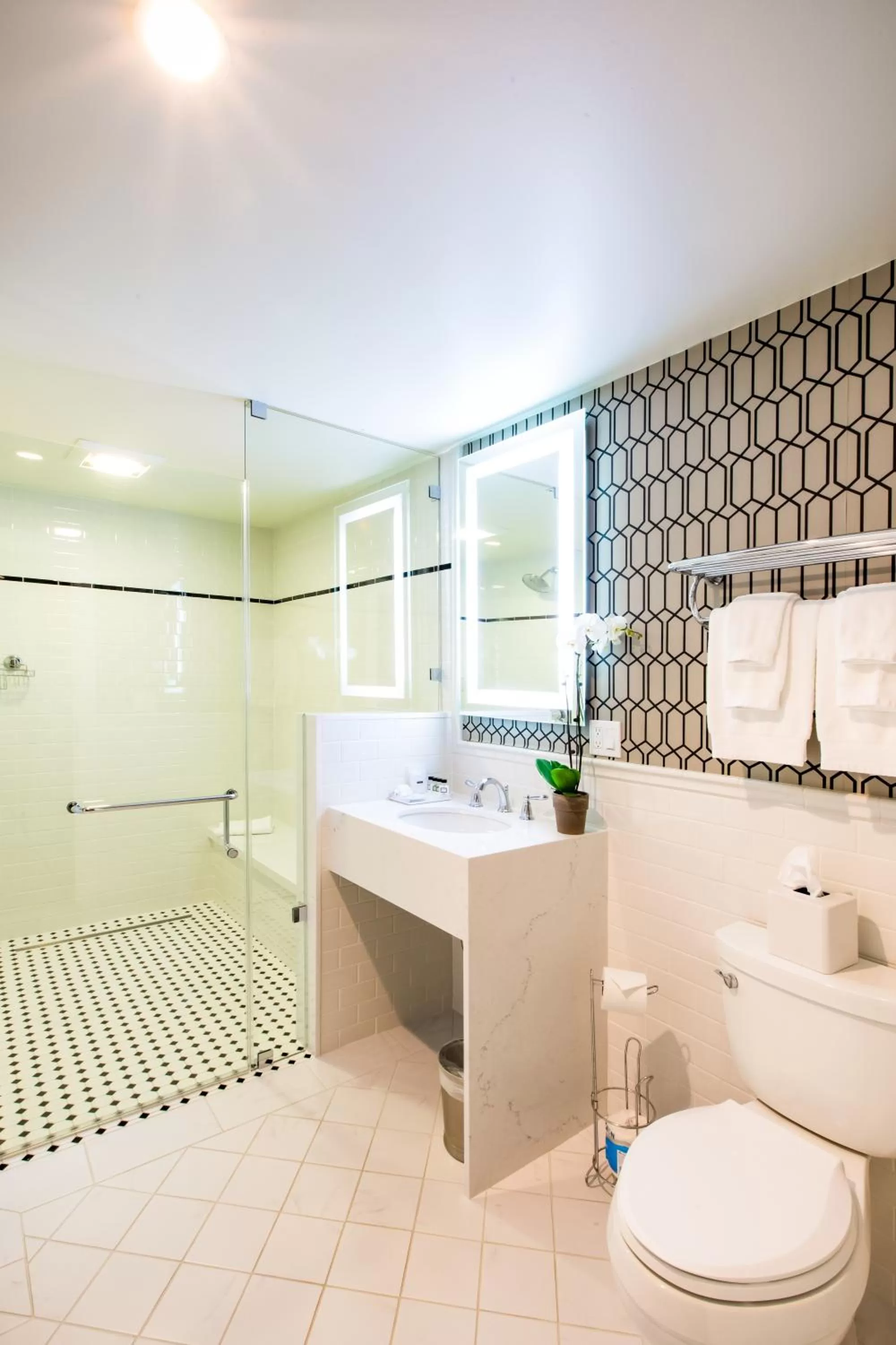 Toilet in University Club of San Francisco