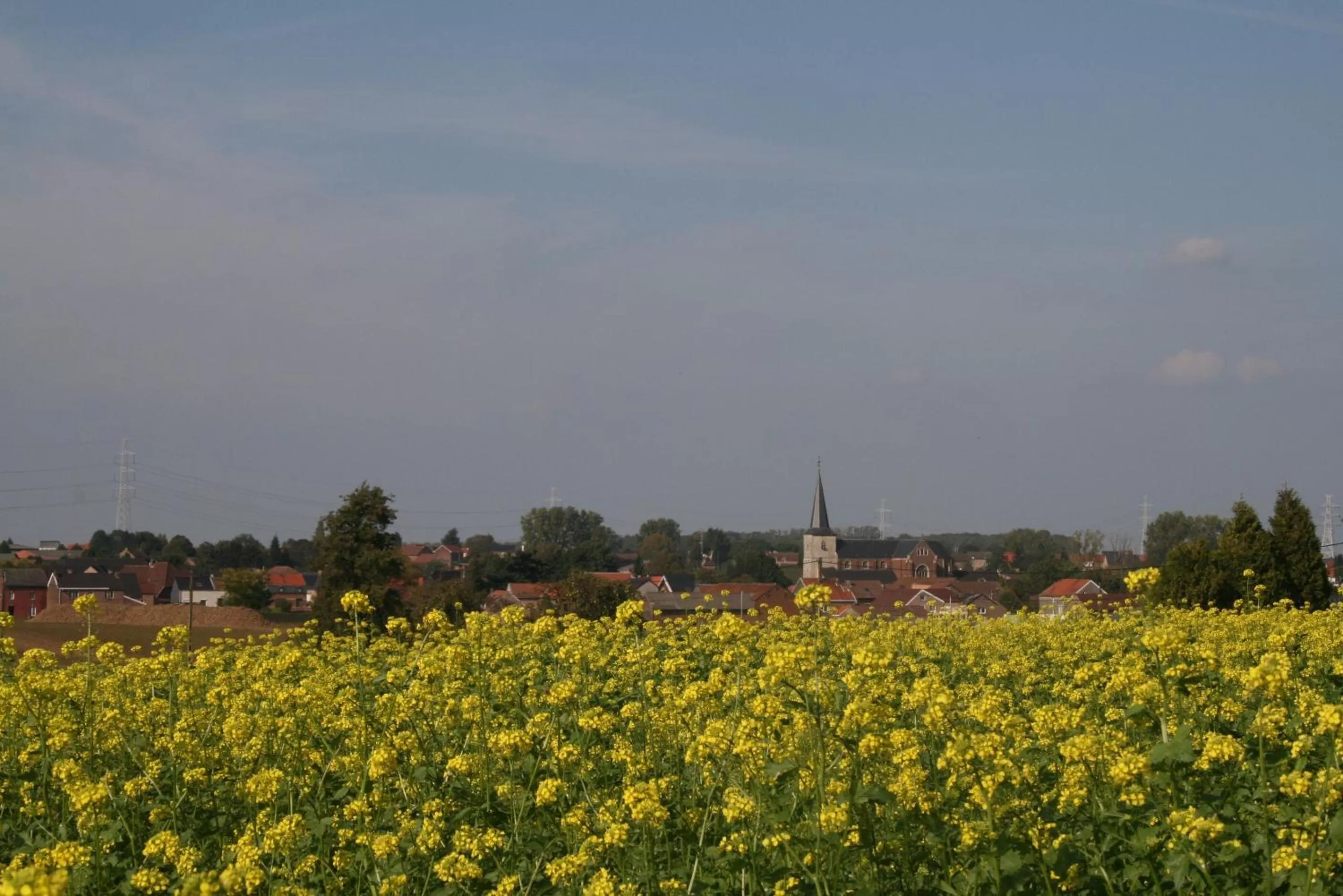 Nearby landmark in twee broeders