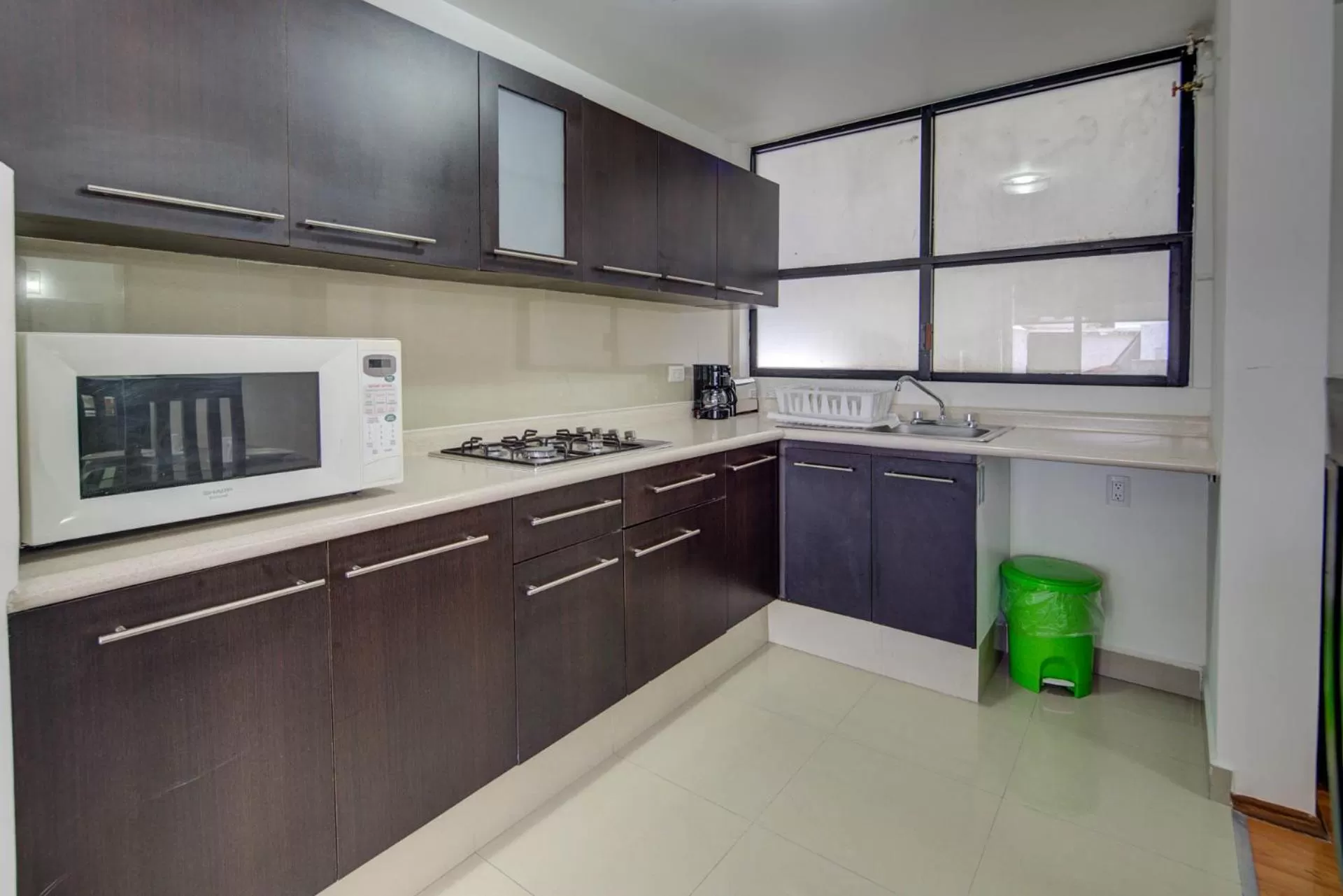 Kitchen or kitchenette in Grupo Kings Suites -Platon 436