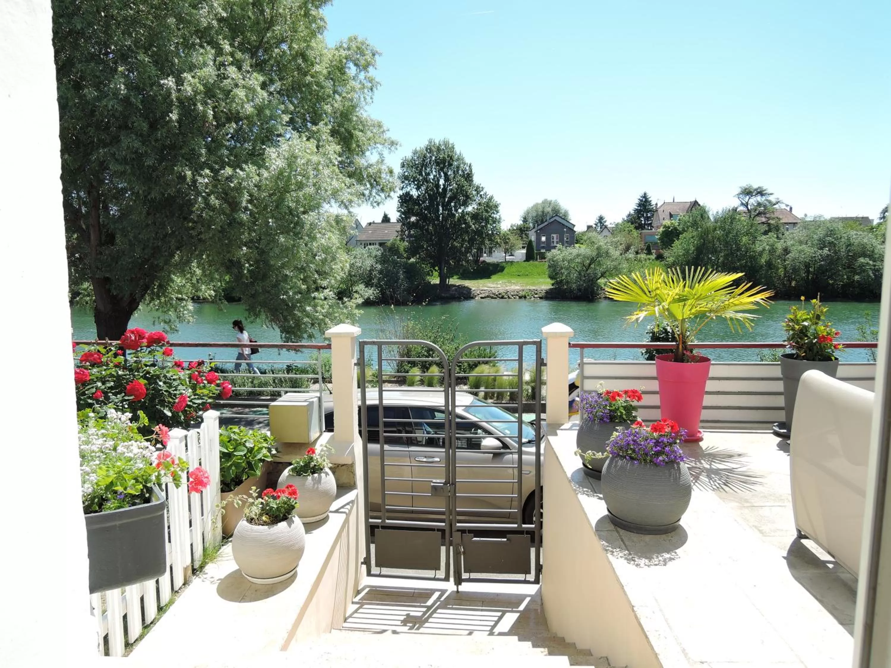 LES PINGOUINS DE LA MARNE