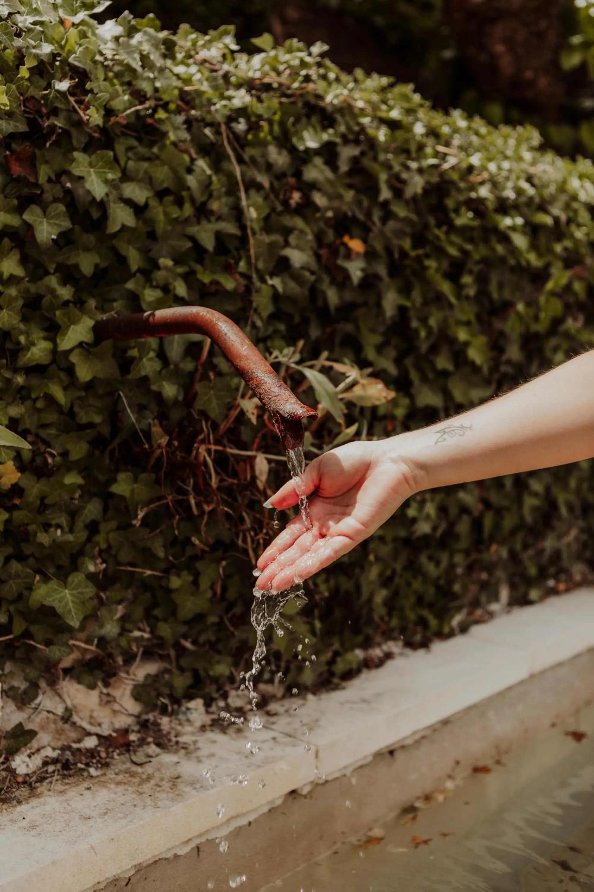Garden in Mas des Romarins, The Originals Relais