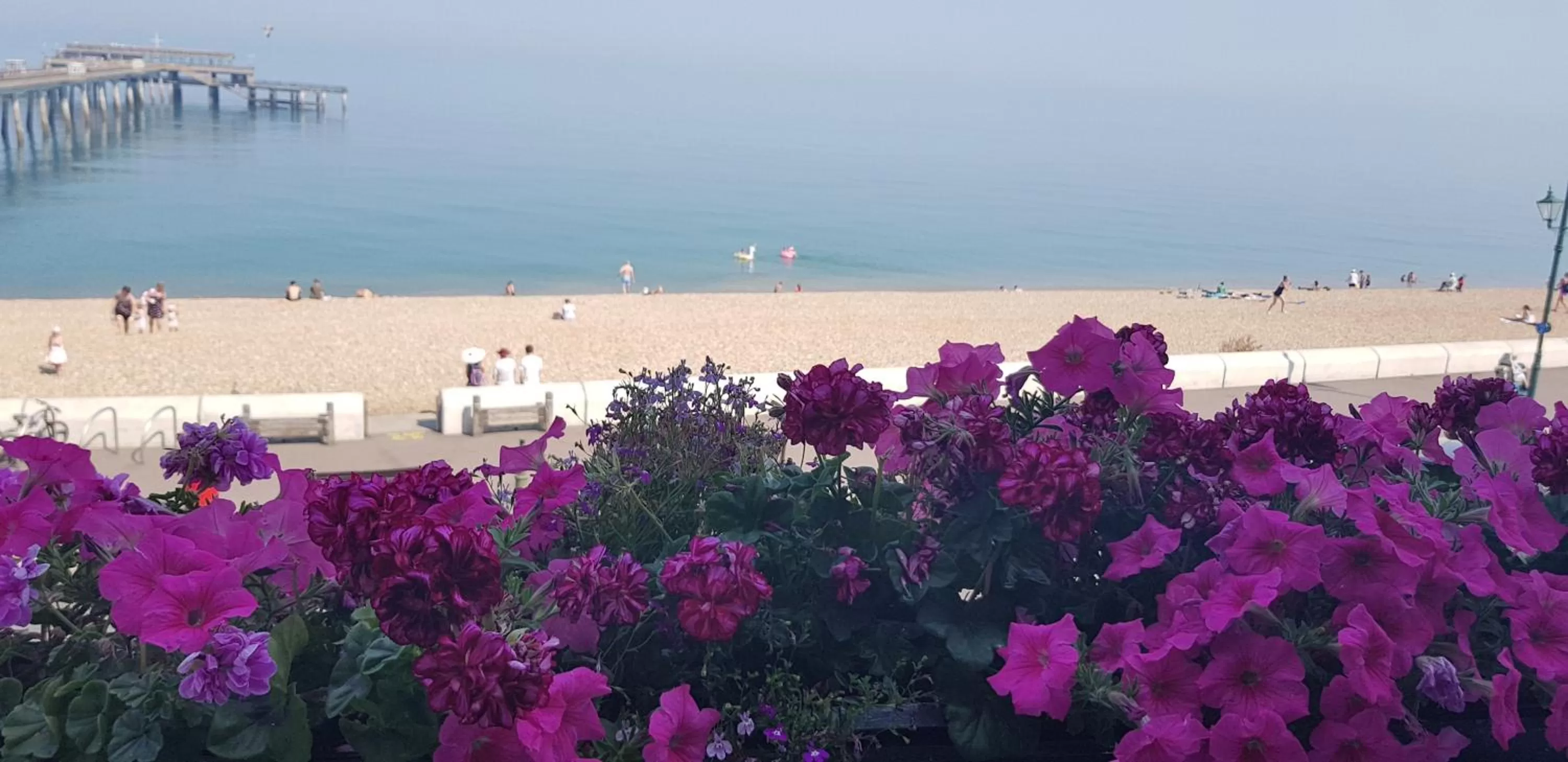 Sea view in Waterfront Hotel