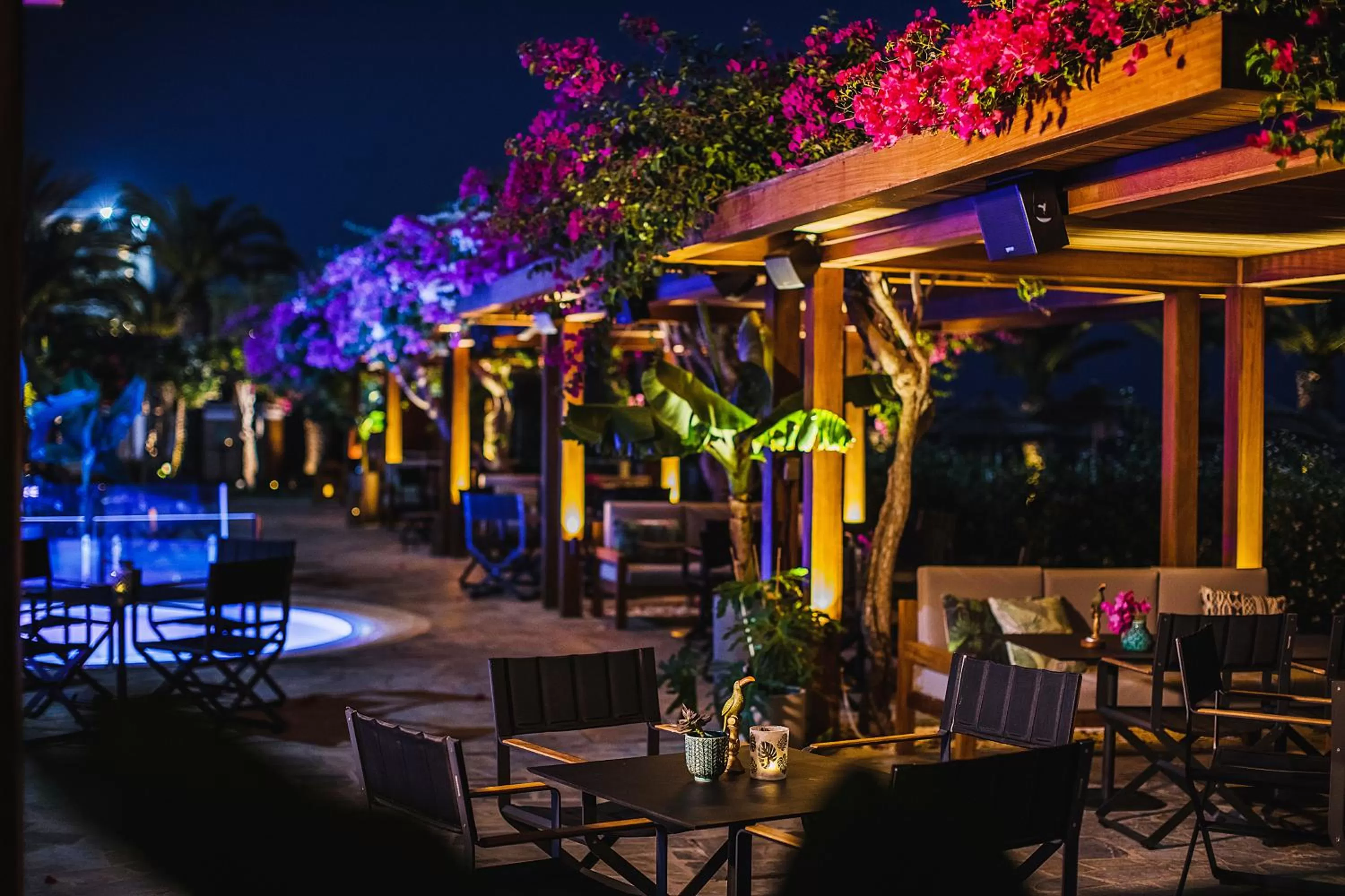 Restaurant/places to eat in Alion Beach Hotel