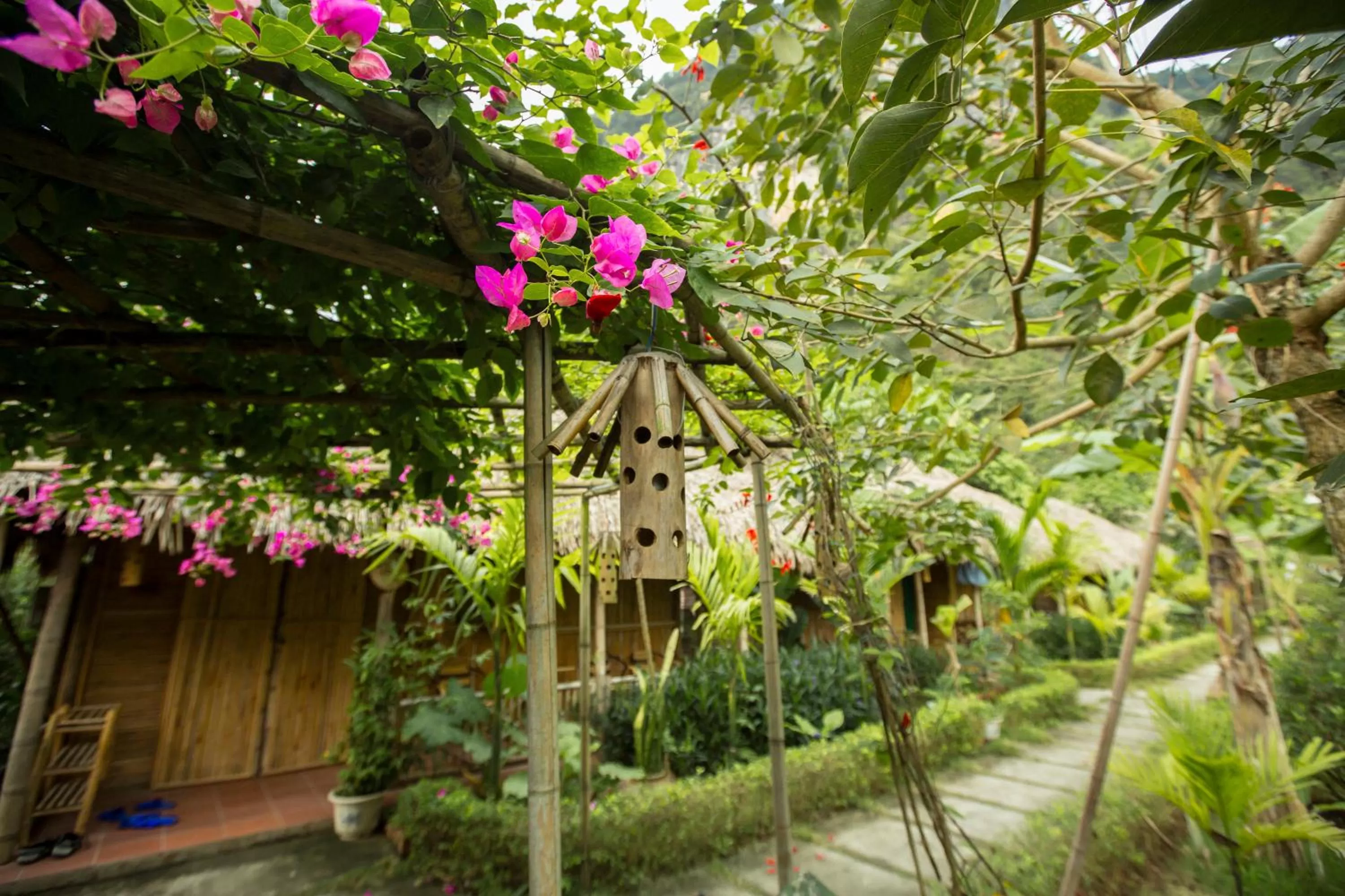 Tam Coc Rice Fields Resort