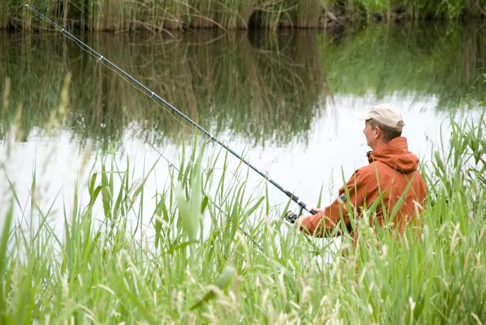 Fishing in Forsthaus-Ferienhotel am Dobrock