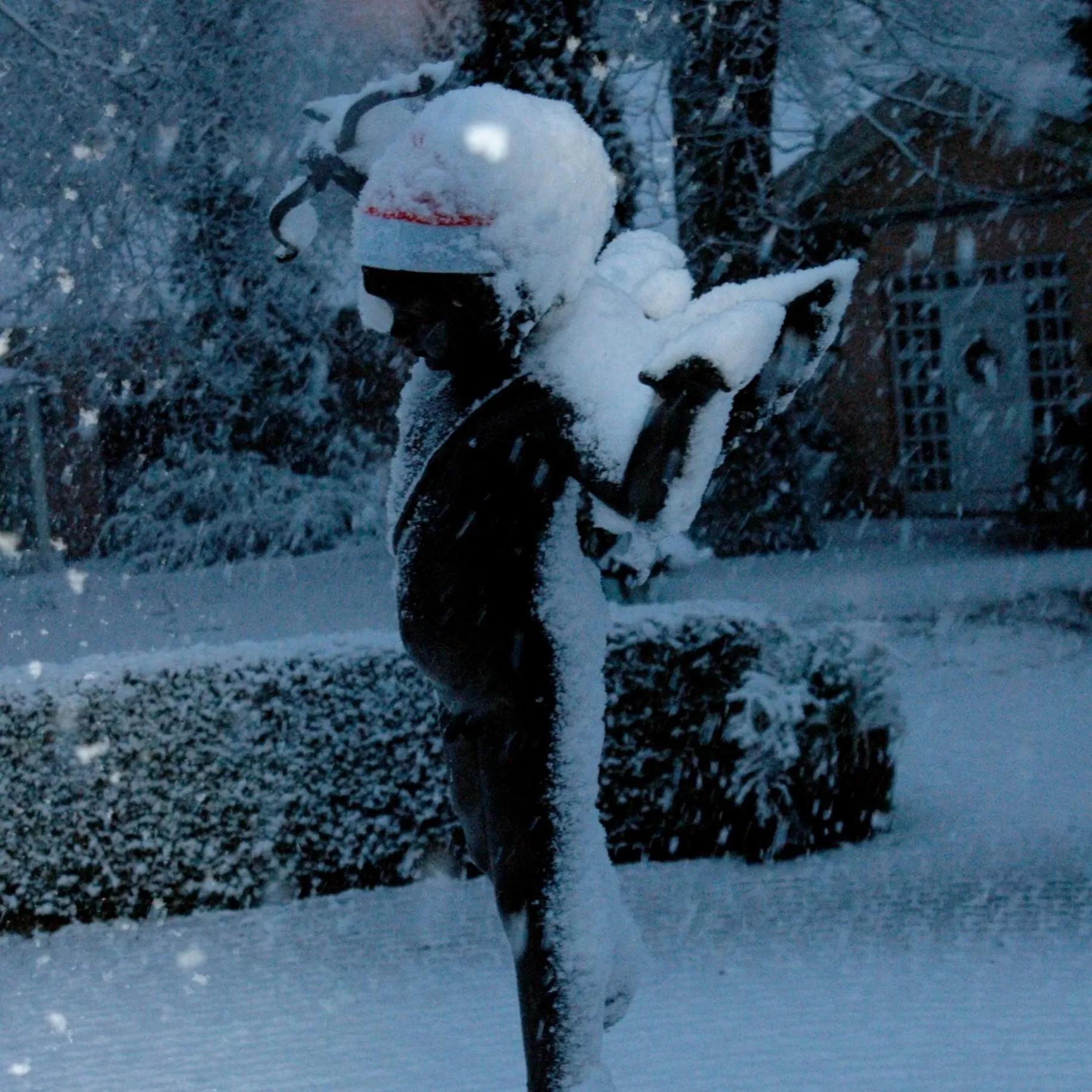 Garden in Gästehaus Schloss Bothmer