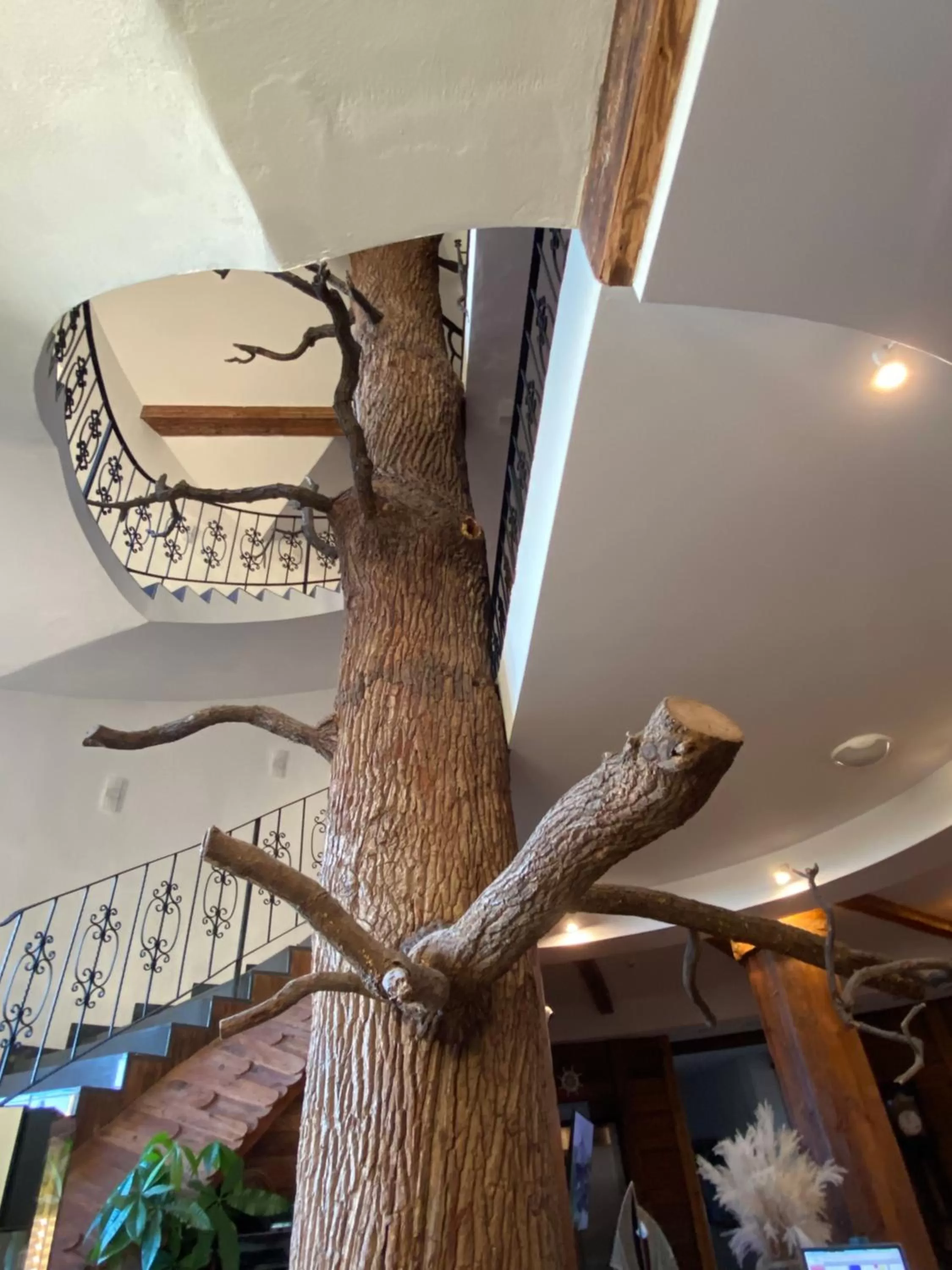 HOTEL CICHA WODA NIEPORĘT