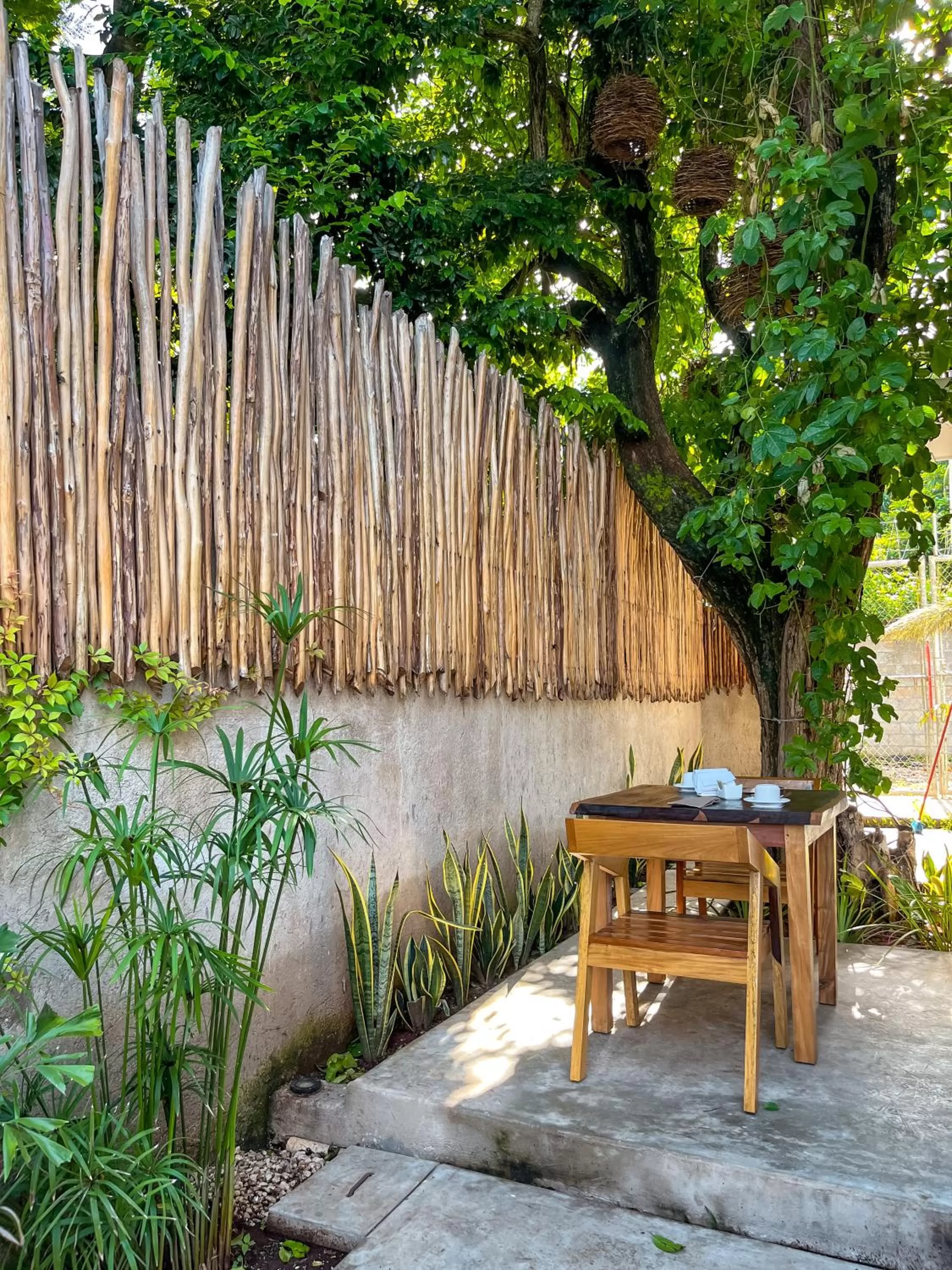 Garden in HOTEL KOOKAY VALLADOLID