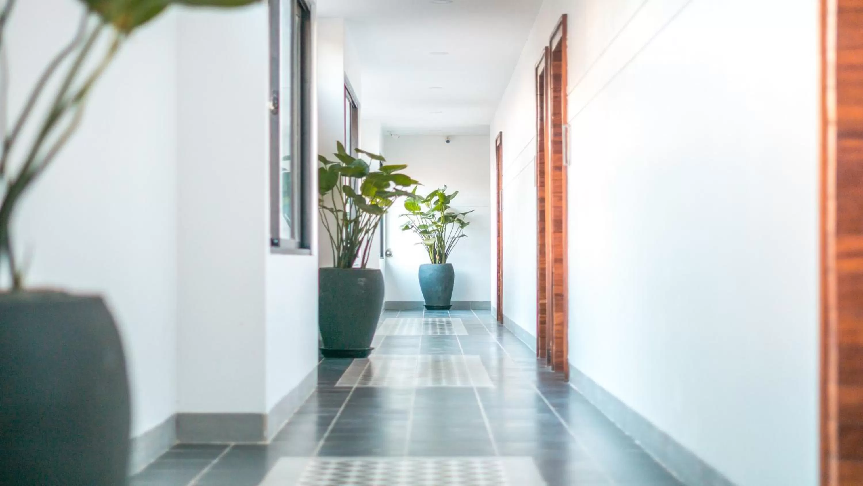 Other in Angkor Aurora