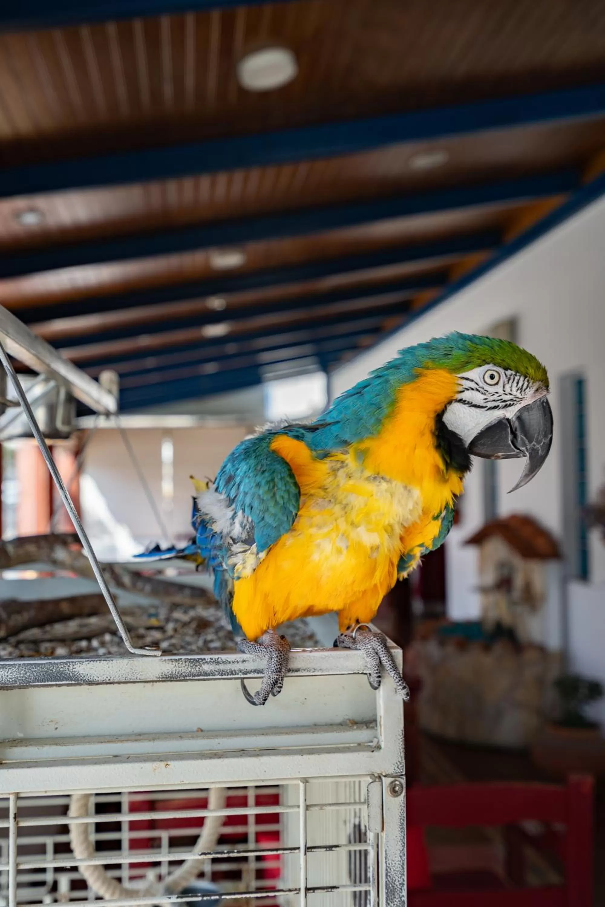 Lobby or reception in Hotel Mar e Sol VNMF by Umbral