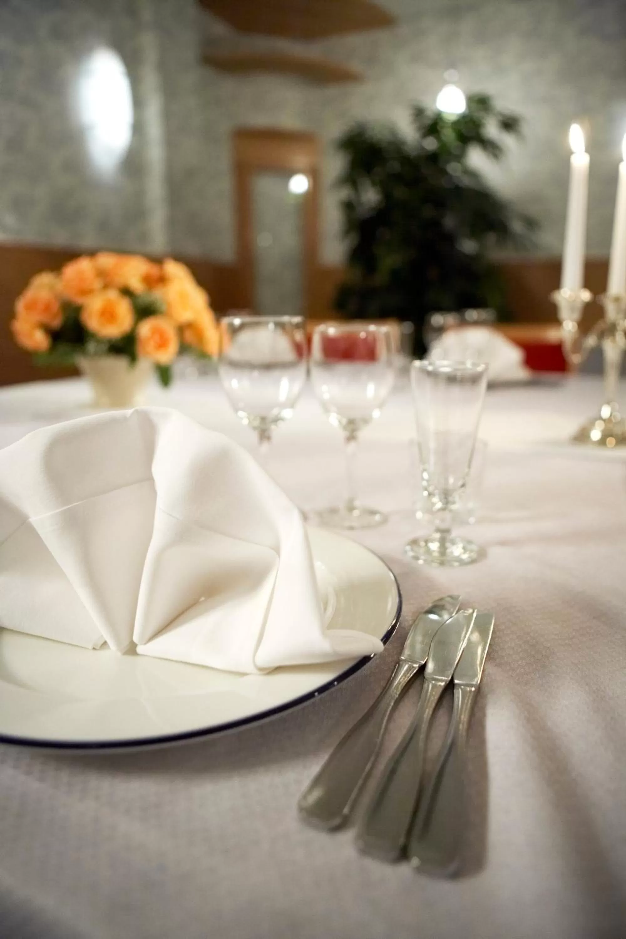 Food in Spa Hotel Kunnonpaikka