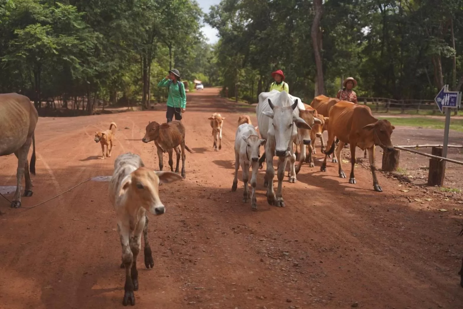 Other in DEN HOTEL TOTONOU SIEM REAP