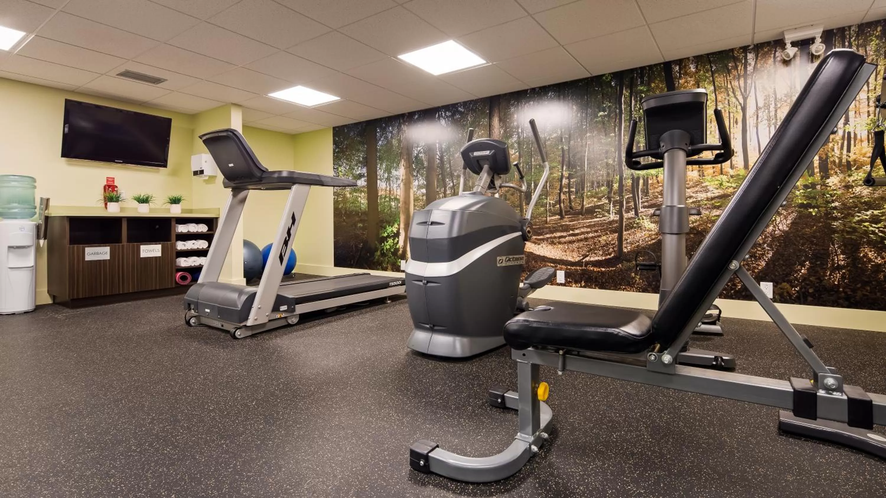 Fitness centre/facilities in Best Western PLUS Inner Harbour Hotel