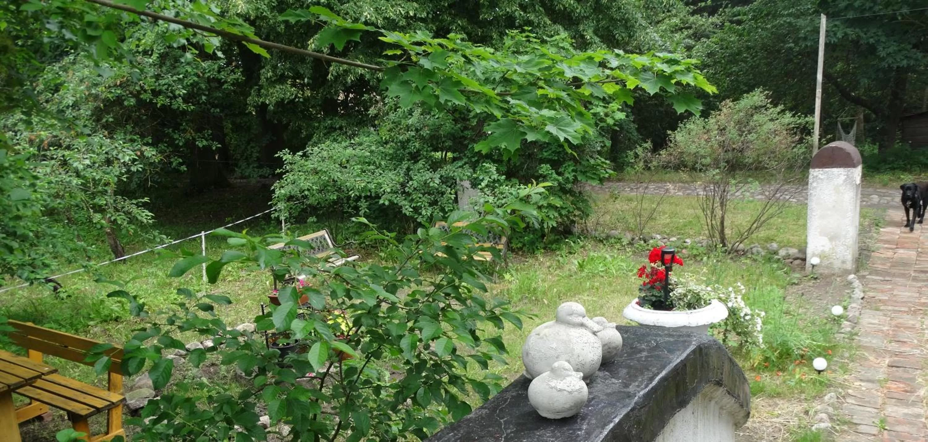 Spring in Dom na Mazurach Pilec