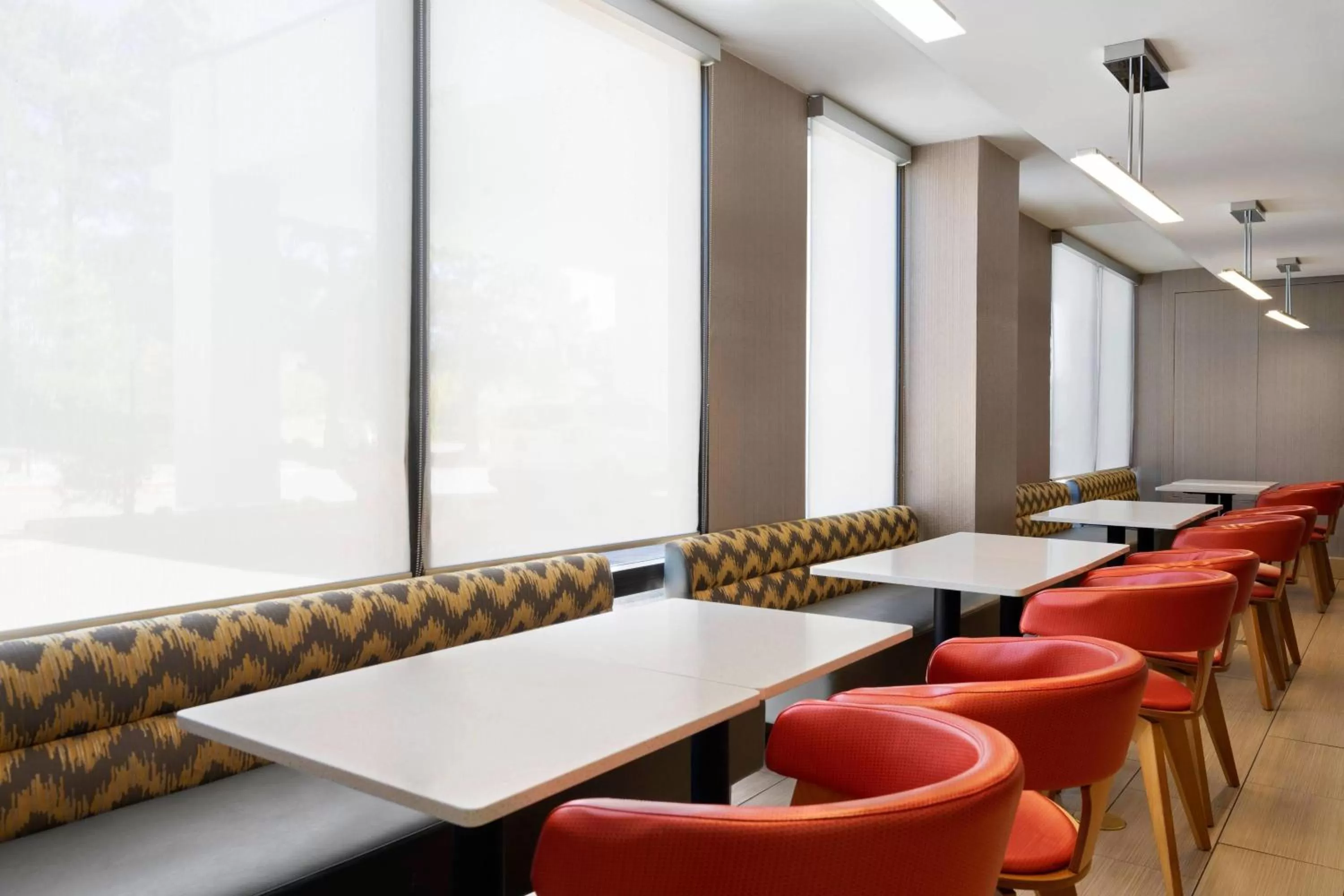 Lobby or reception in SpringHill Suites Flagstaff