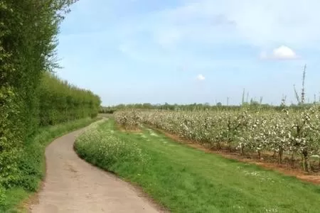 Church Farm B&B Suffolk