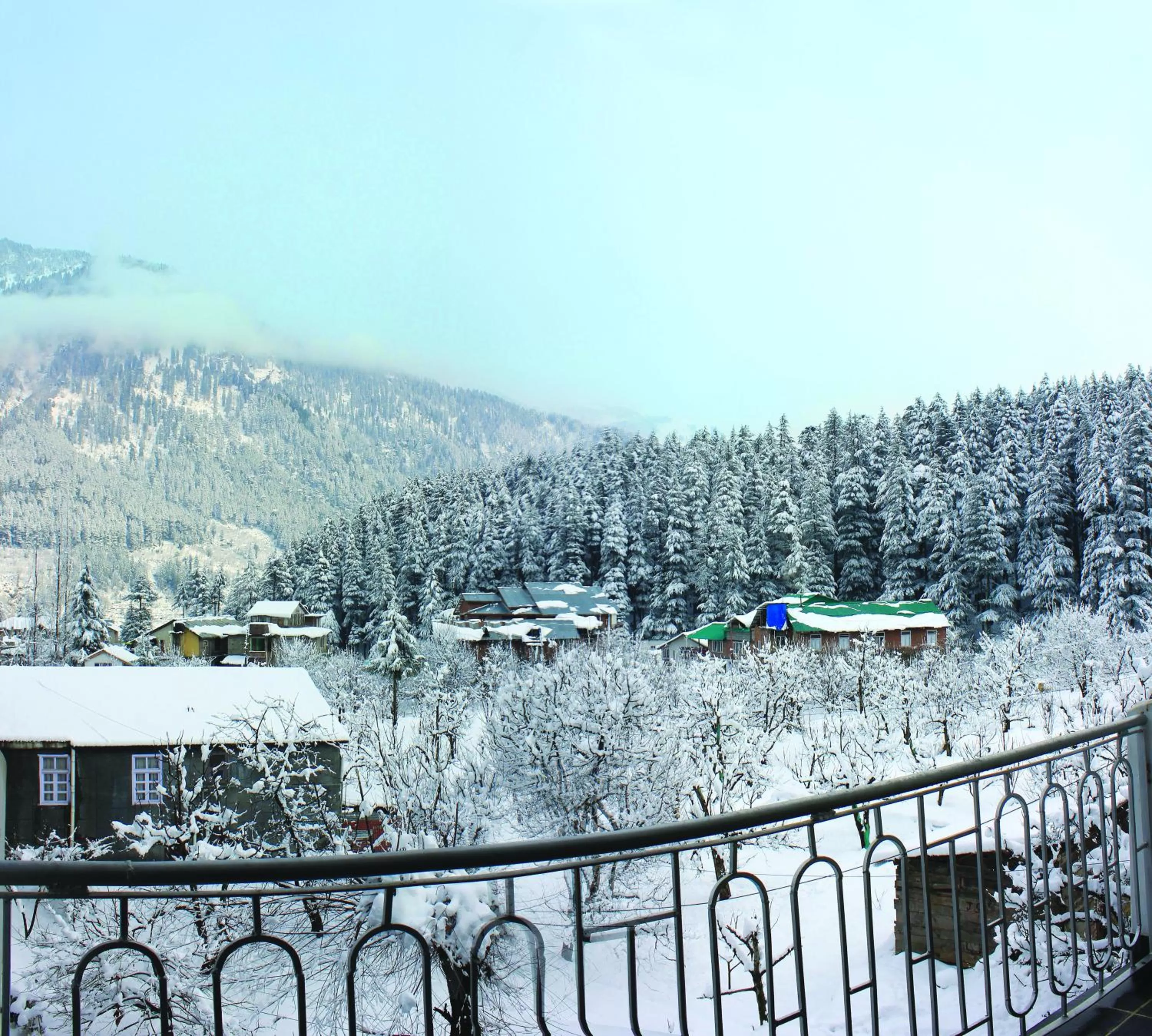 Winter in The Orchard Greens