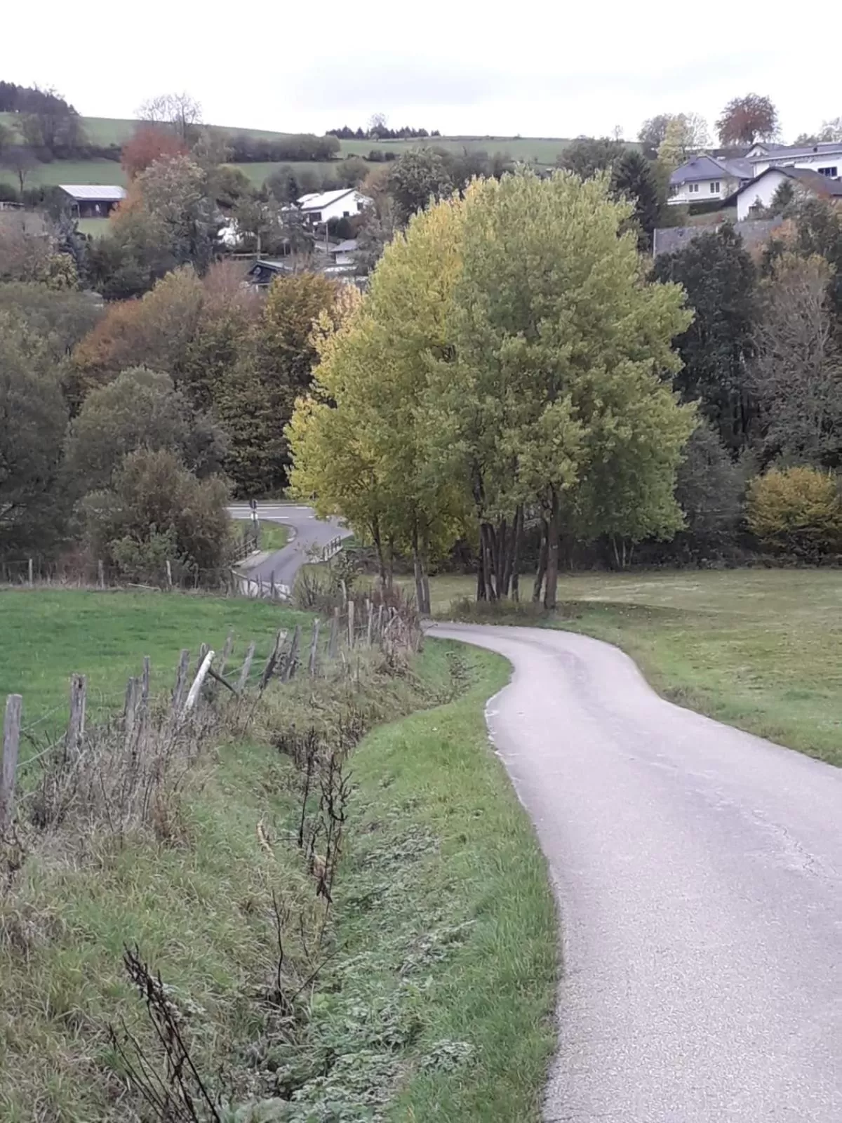 Neighbourhood in Sunrise B&B Hellenthal