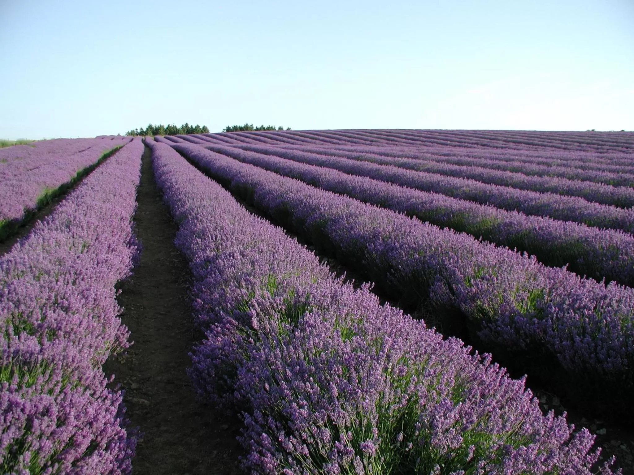 Nearby landmark in Three Ways House Hotel