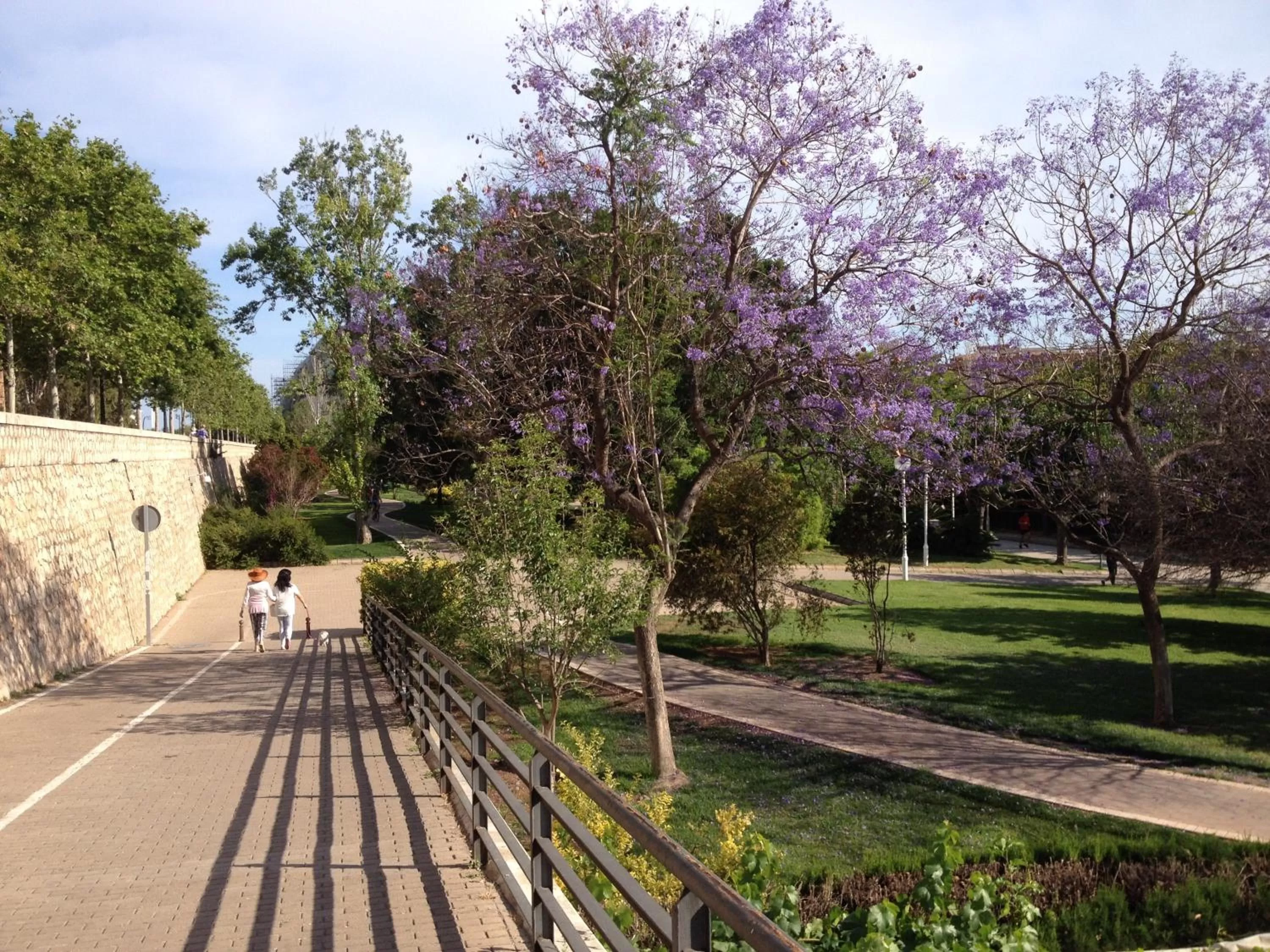 Off site in MD Modern Hotel - Jardines