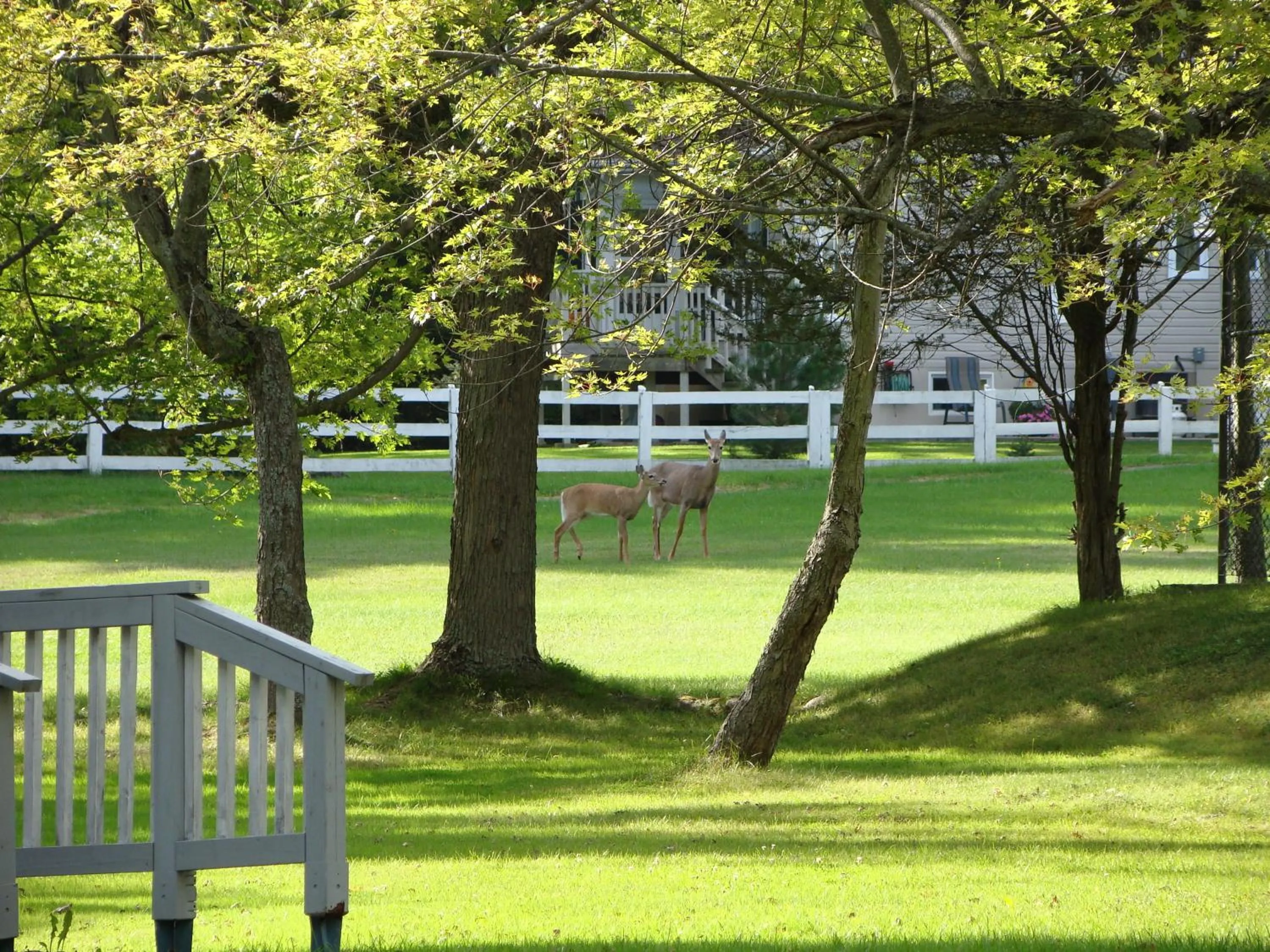 Other in Colonial Resort-1000Islands