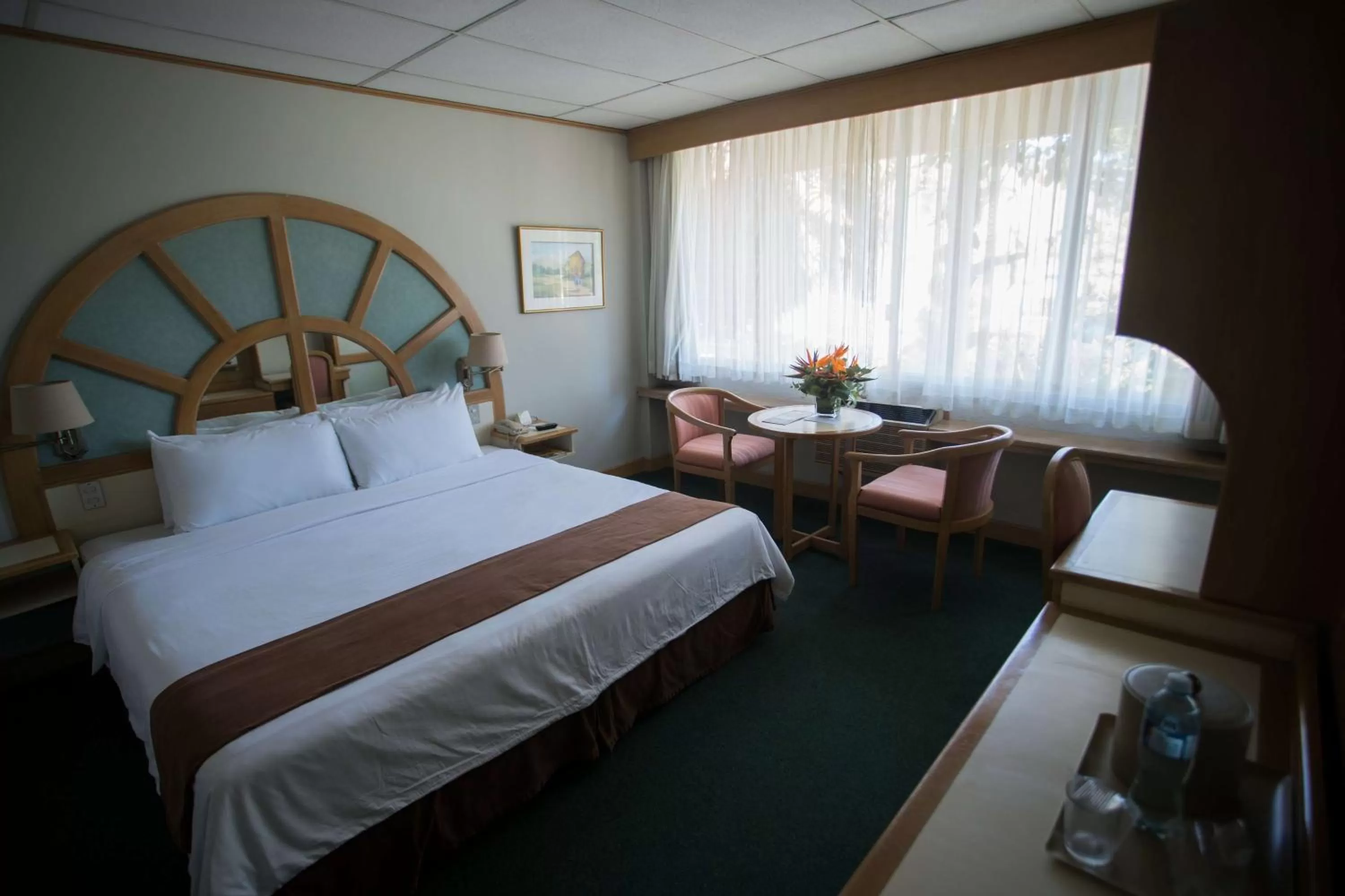 Photo of the whole room, Bed in Best Western Plus Hotel Terraza