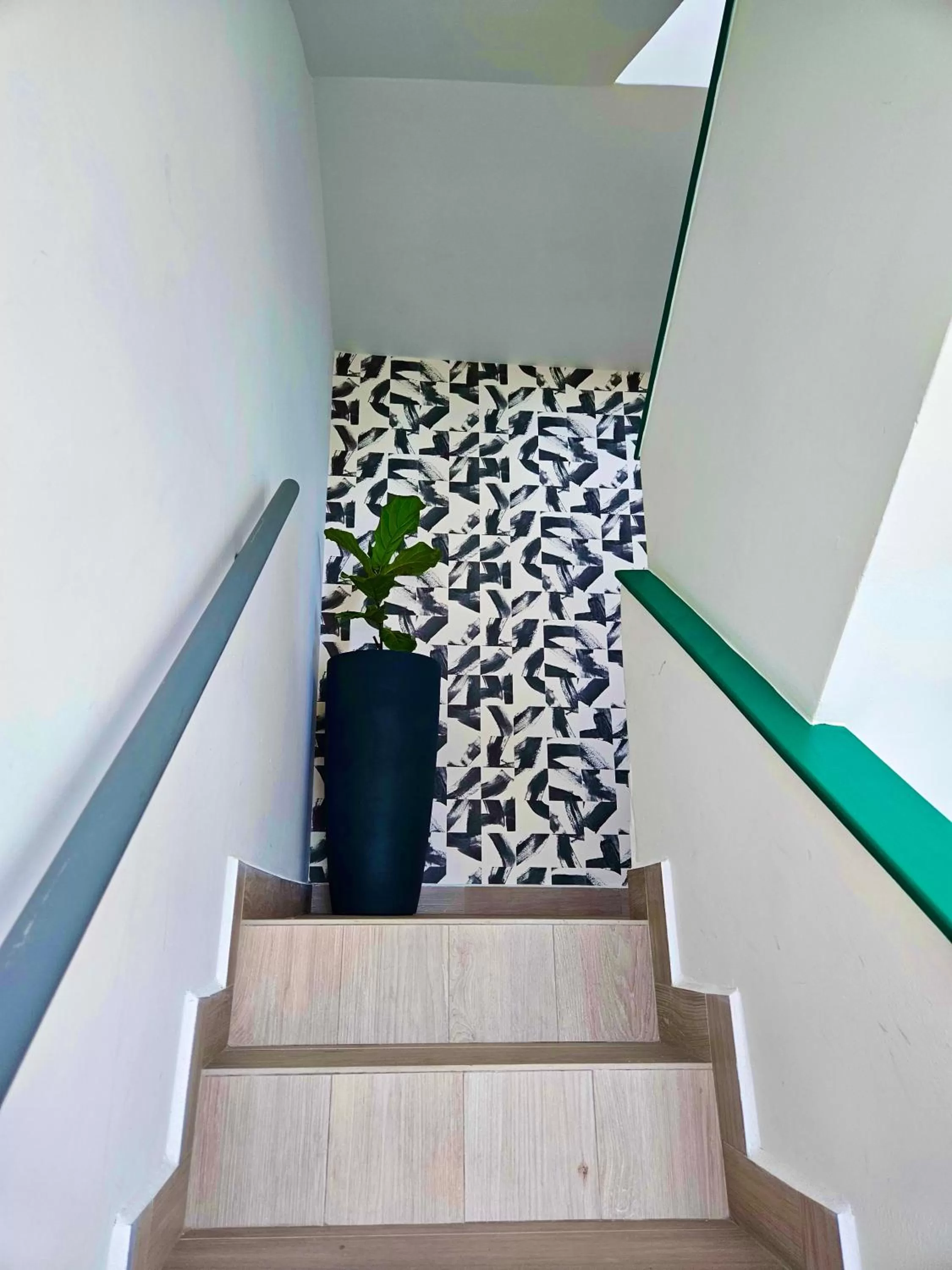 Area and facilities in La Calma Poshtel