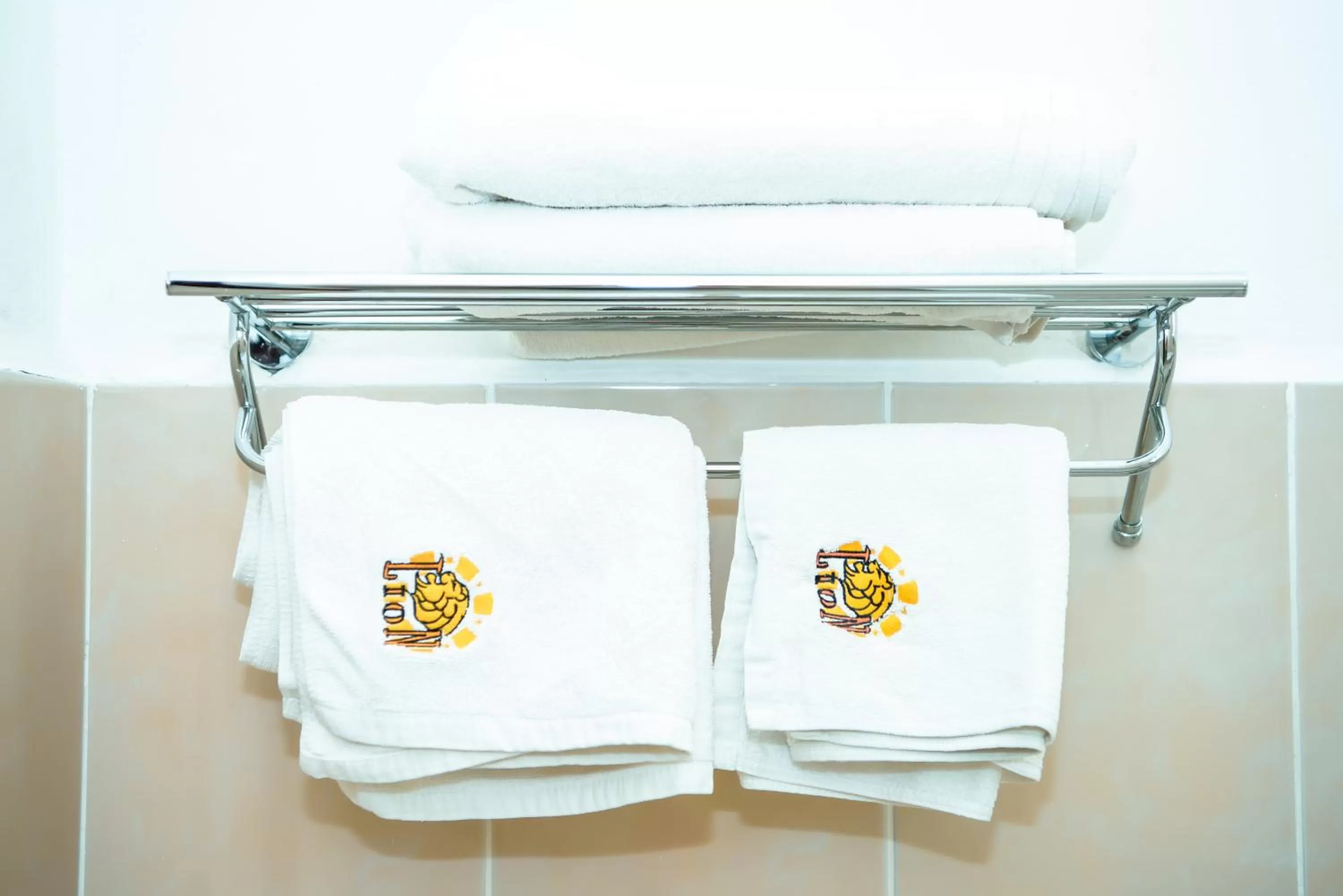 Bathroom in Lion Hotel