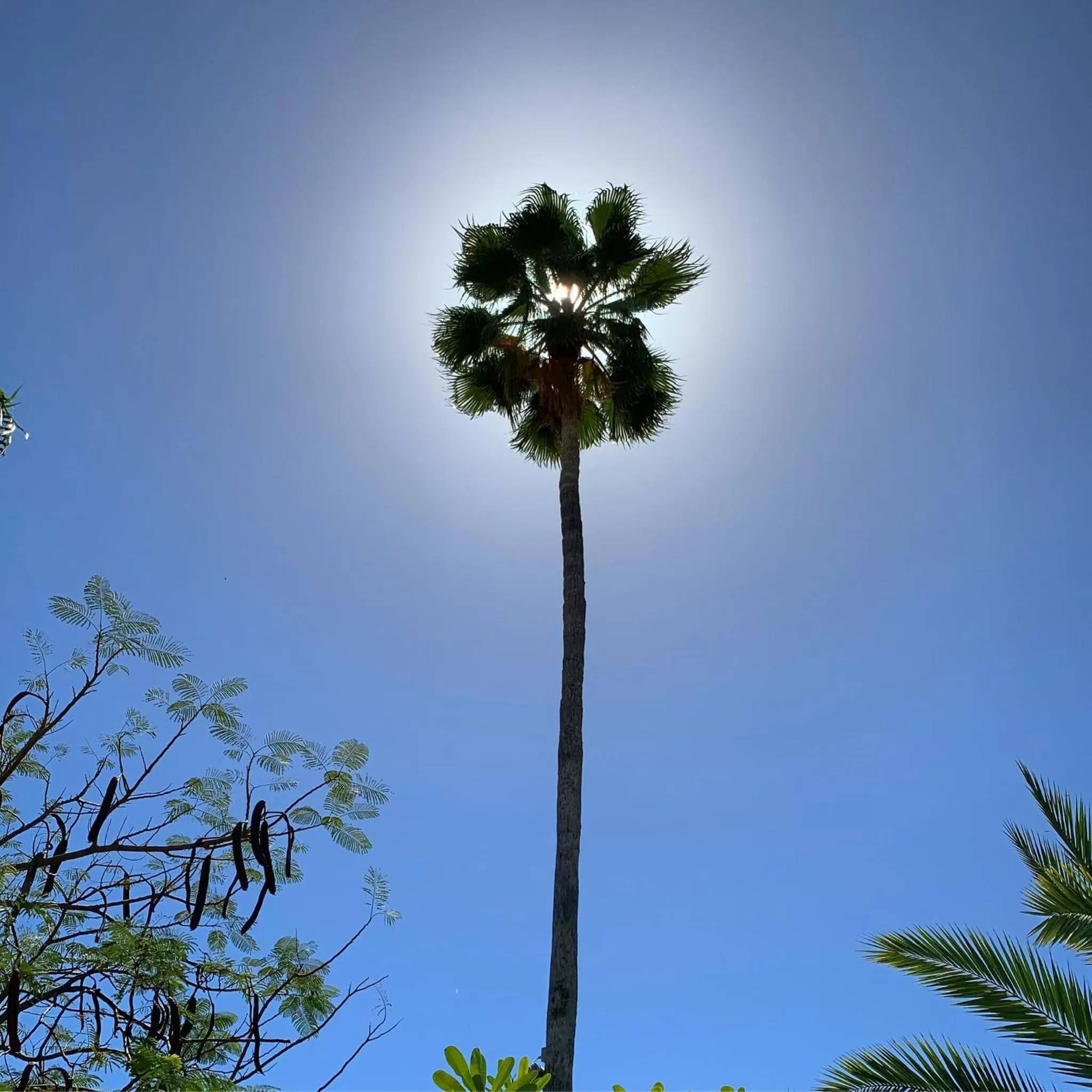 Natural landscape in Los Milagros Hotel