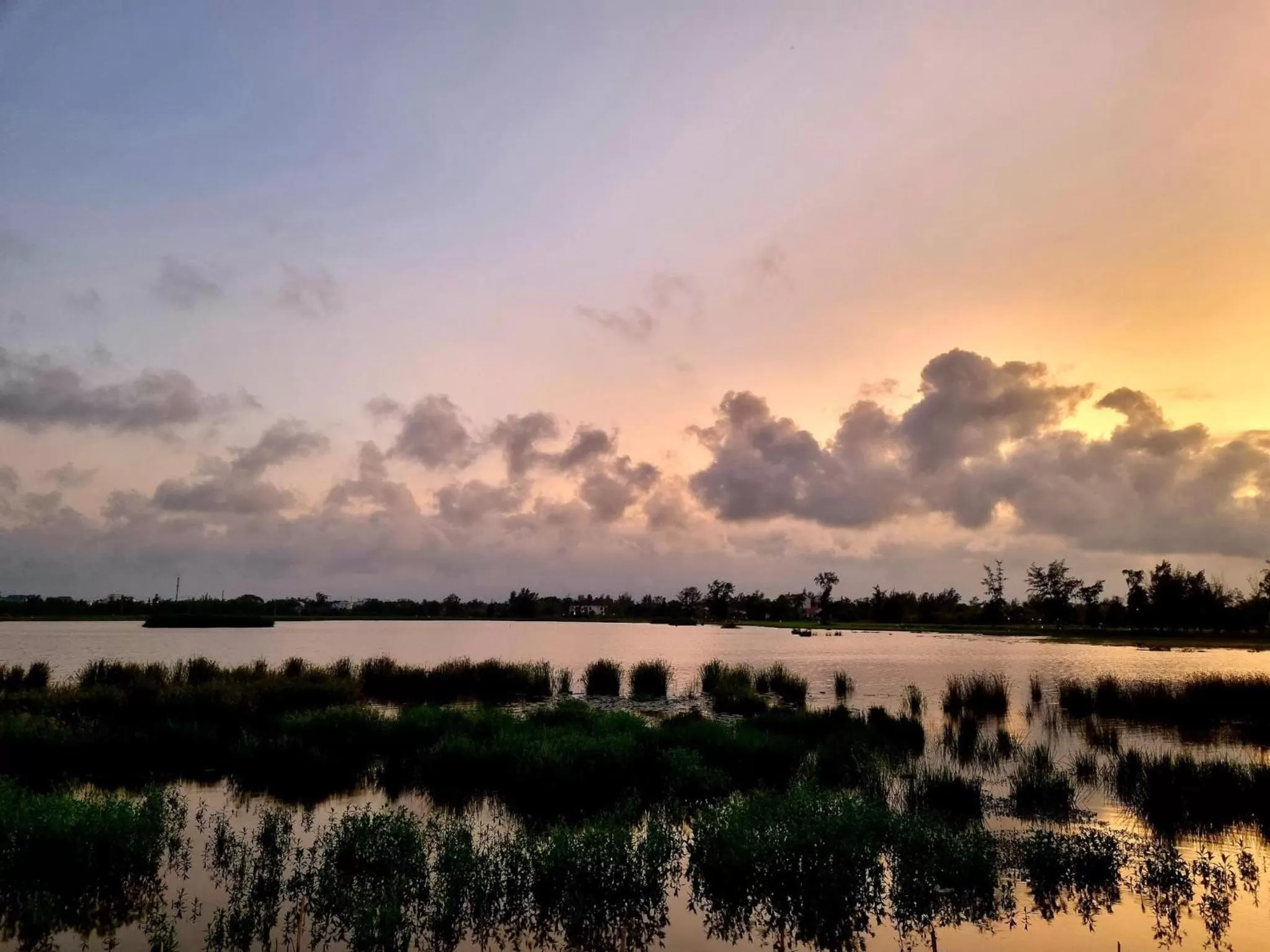 Natural landscape in hoi an center town
