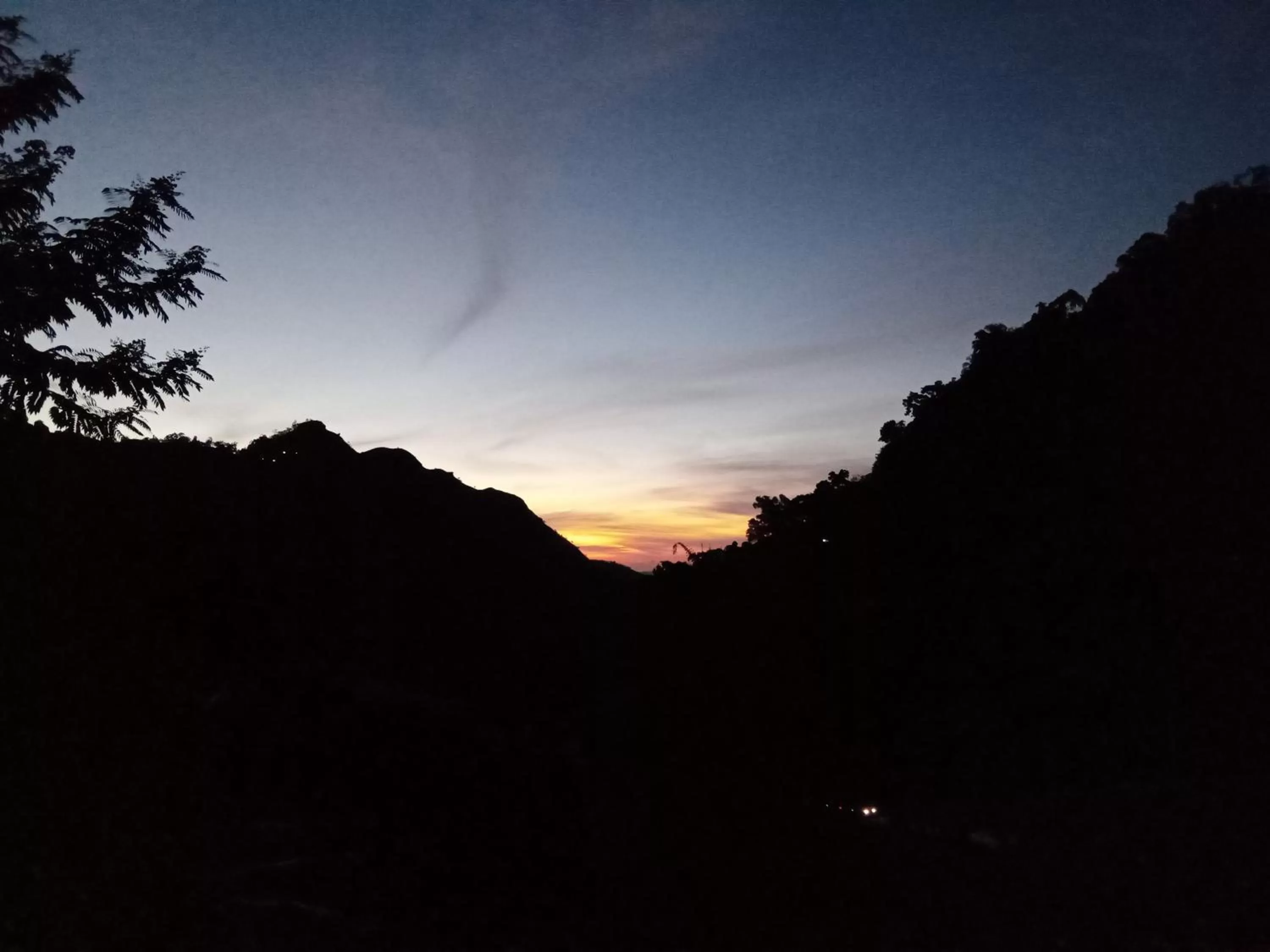 Ella Lucky Panoramic