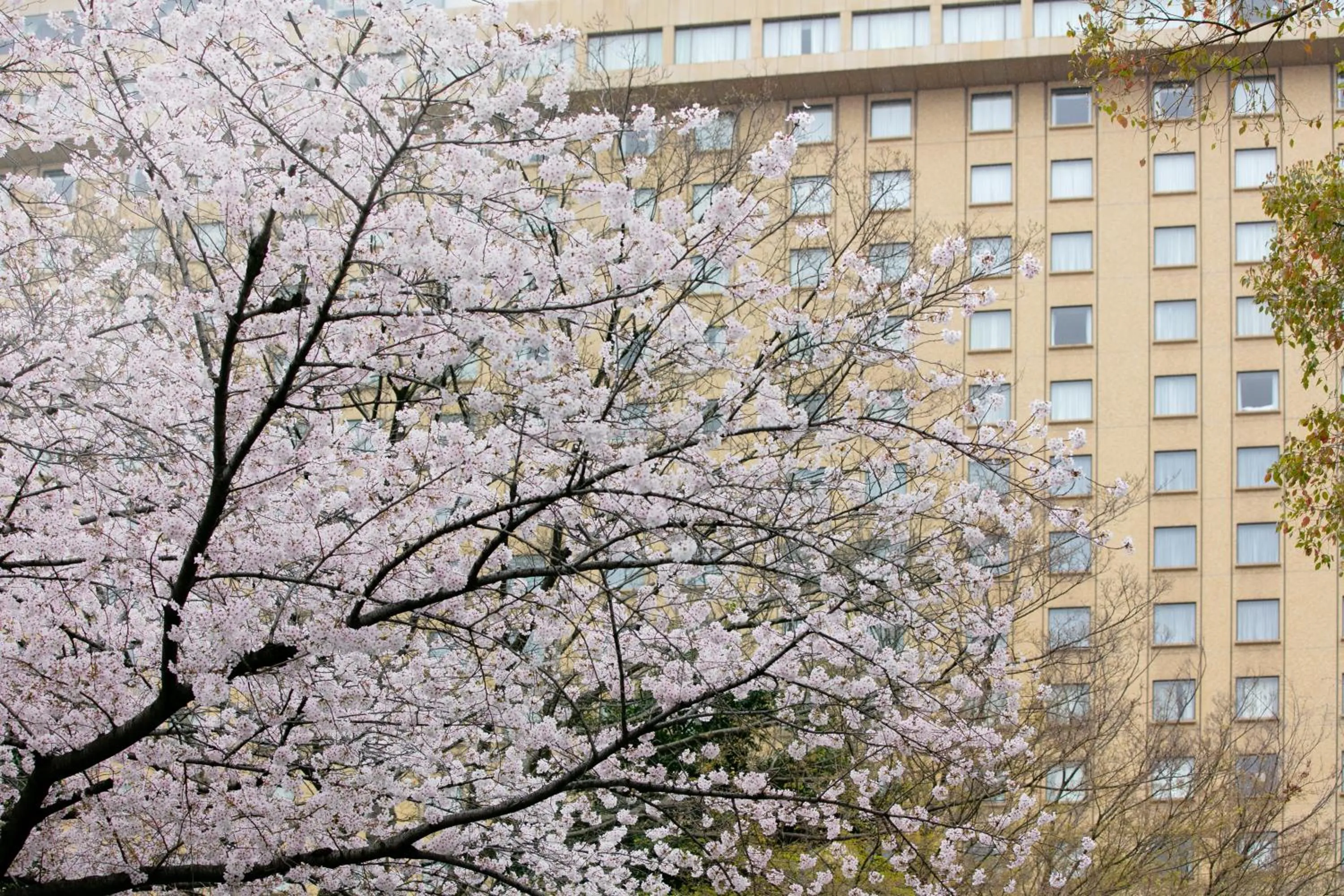 Property building in Nagoya Kanko Hotel