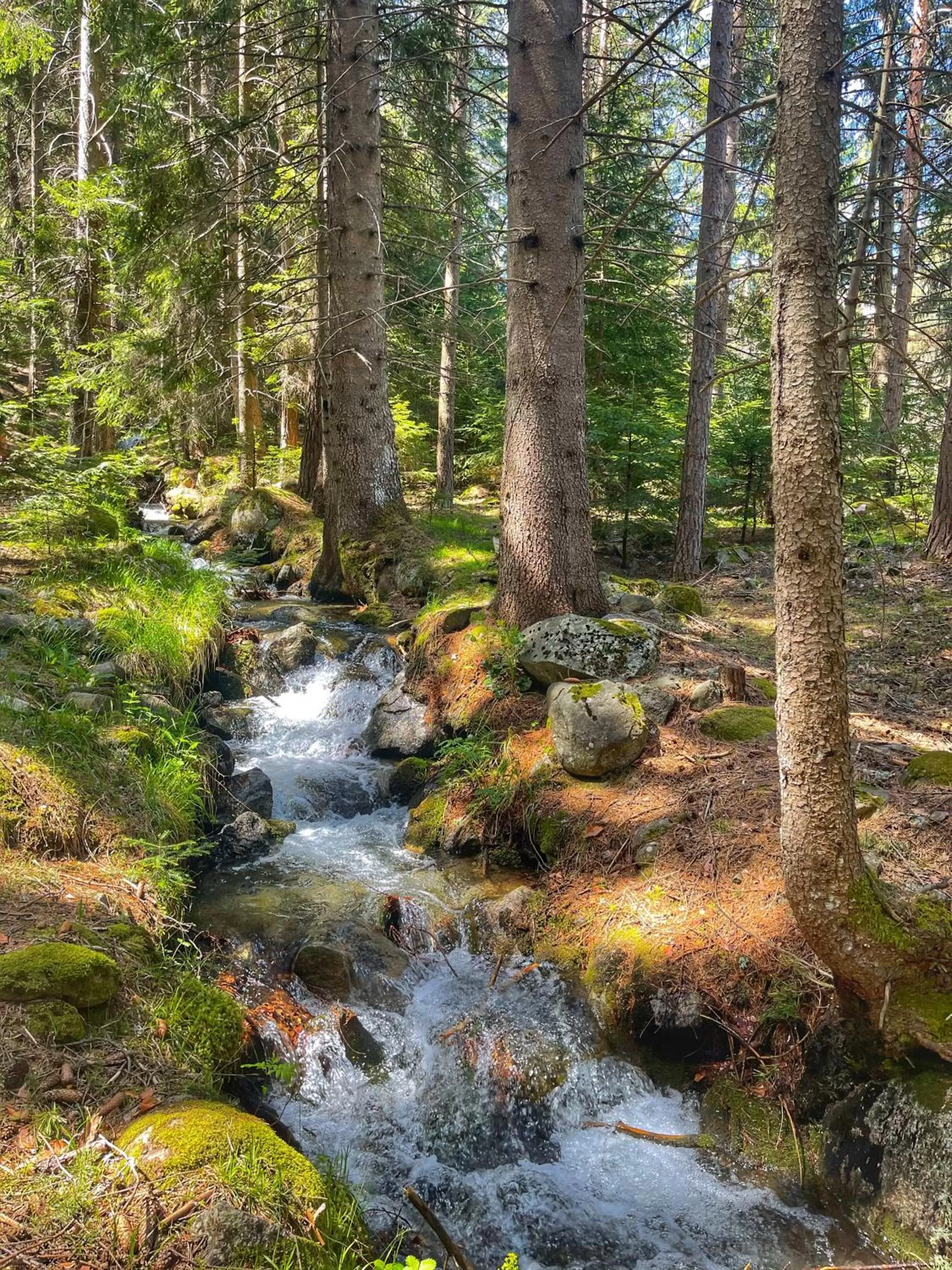Nearby landmark in Park Hotel Panorama