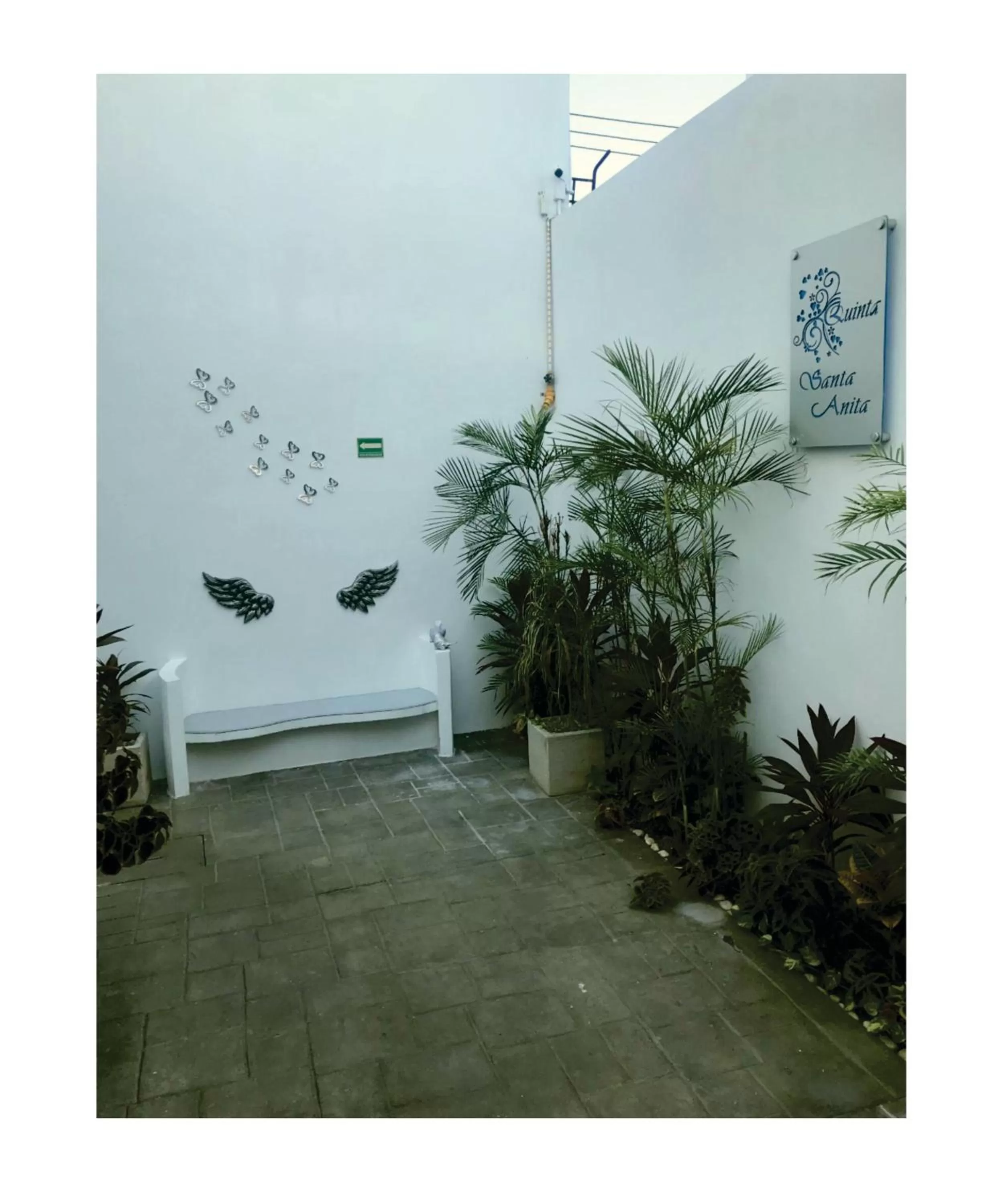 Garden in Quinta Santa Anita