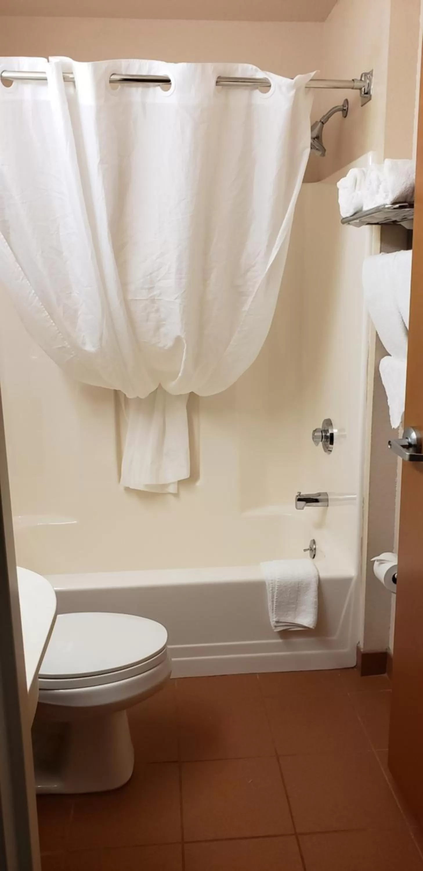 Microtel Inn & Suites by Wyndham Wellsville