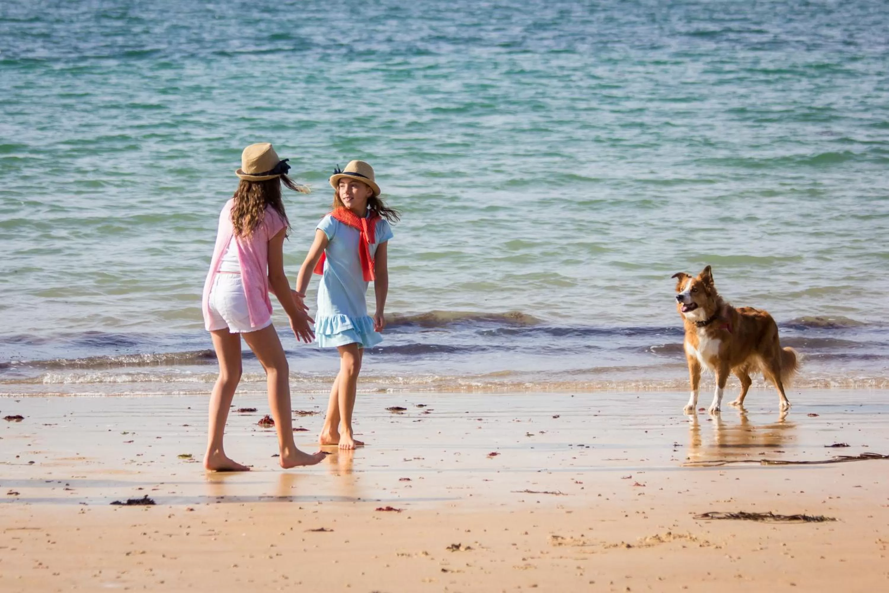 Beach in The Bay Colwell