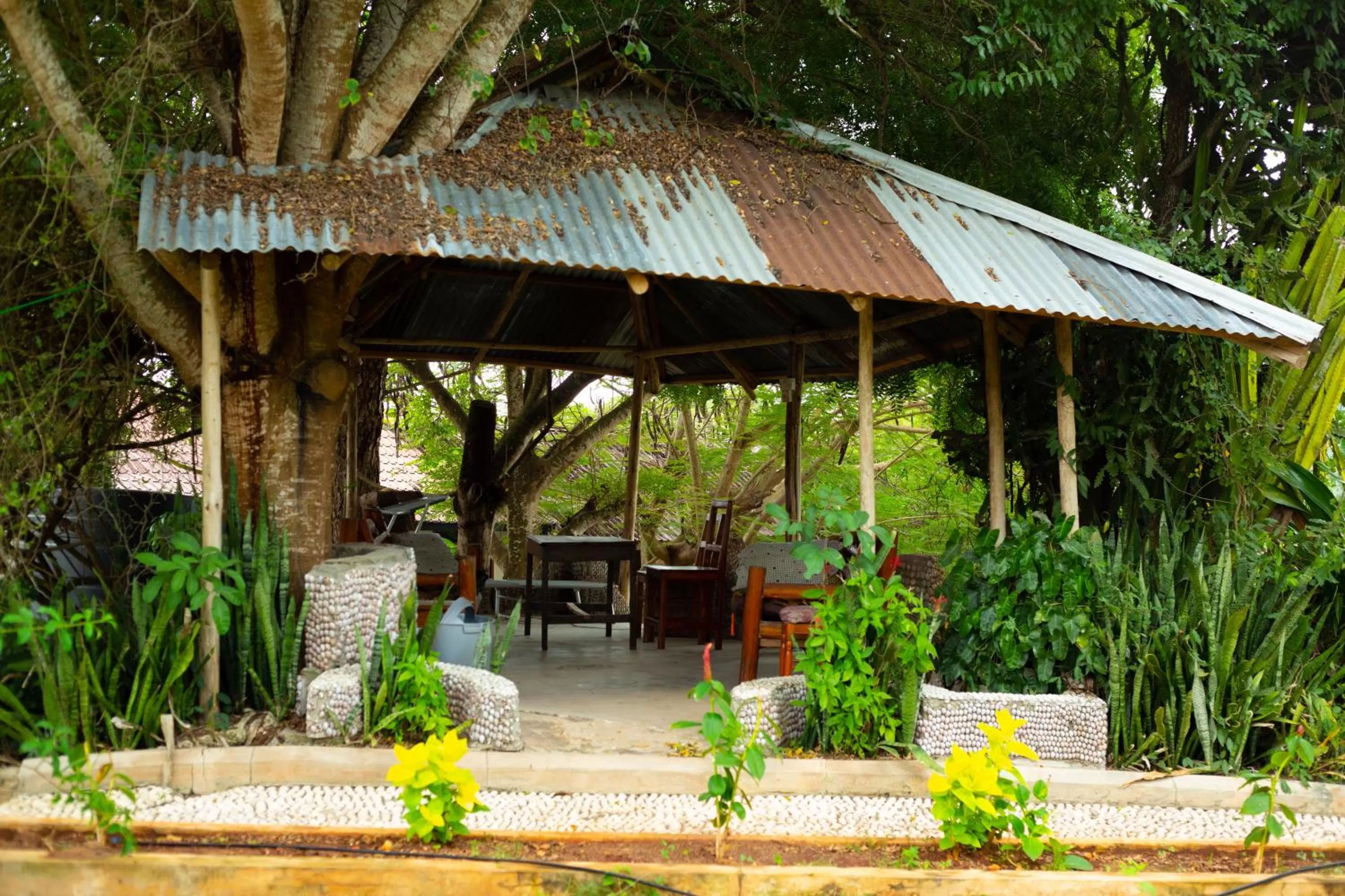 Garden in Mikoko Beach & Cottages