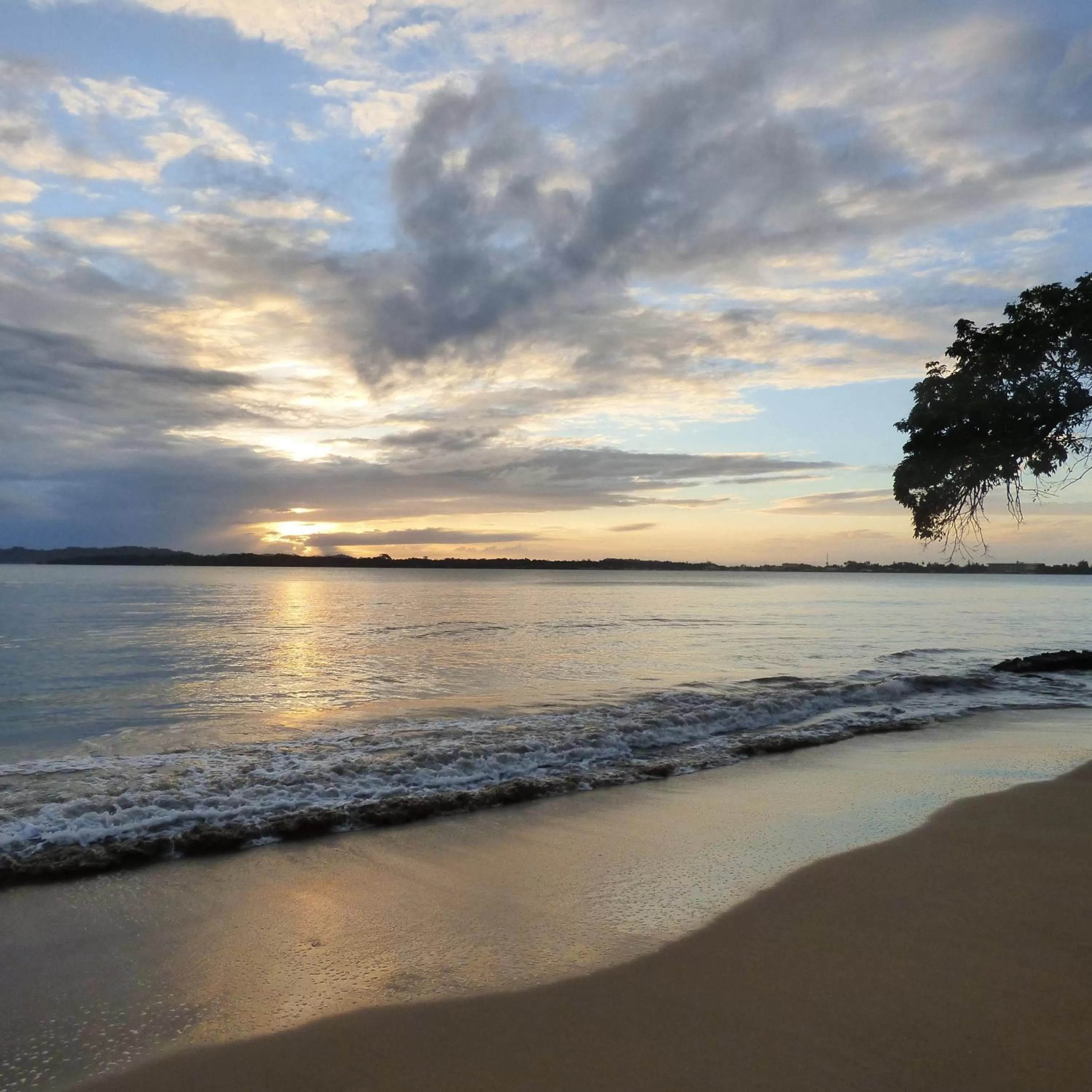 View (from property/room), Beach in Sand Dollar Beach Bed & Breakfast