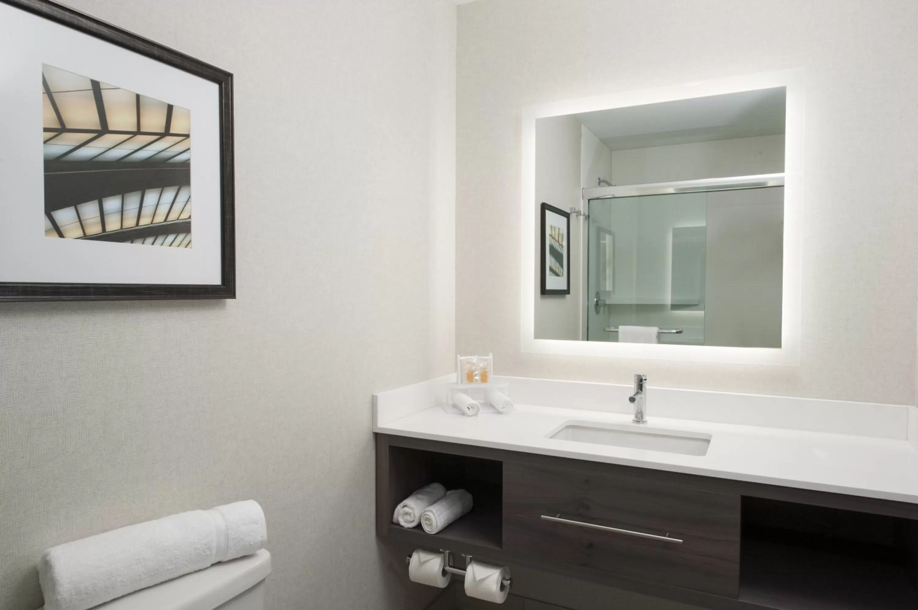 Bathroom in Holiday Inn Cleveland Clinic by IHG