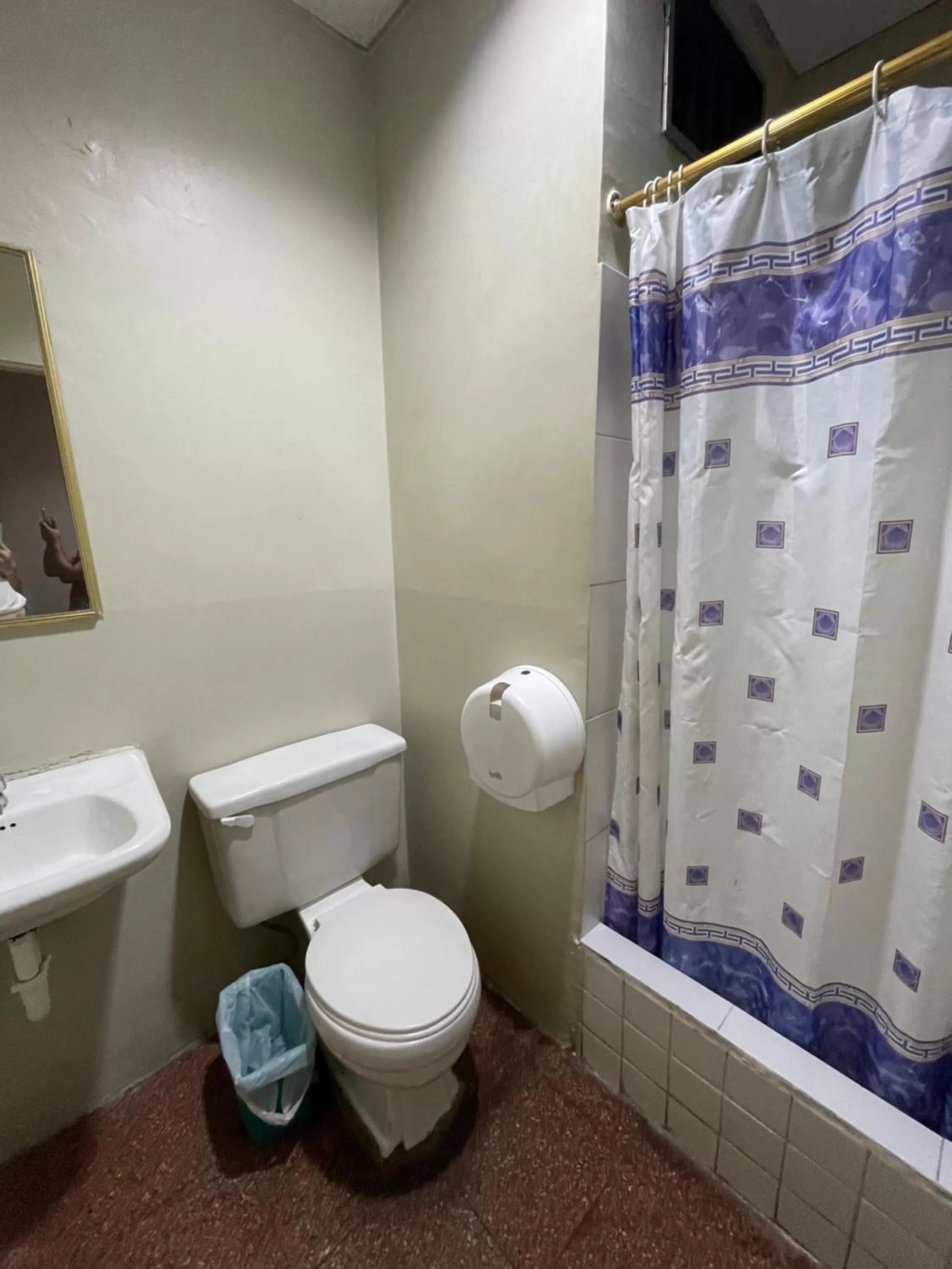 Shower, Bathroom in Hotel Los Andes