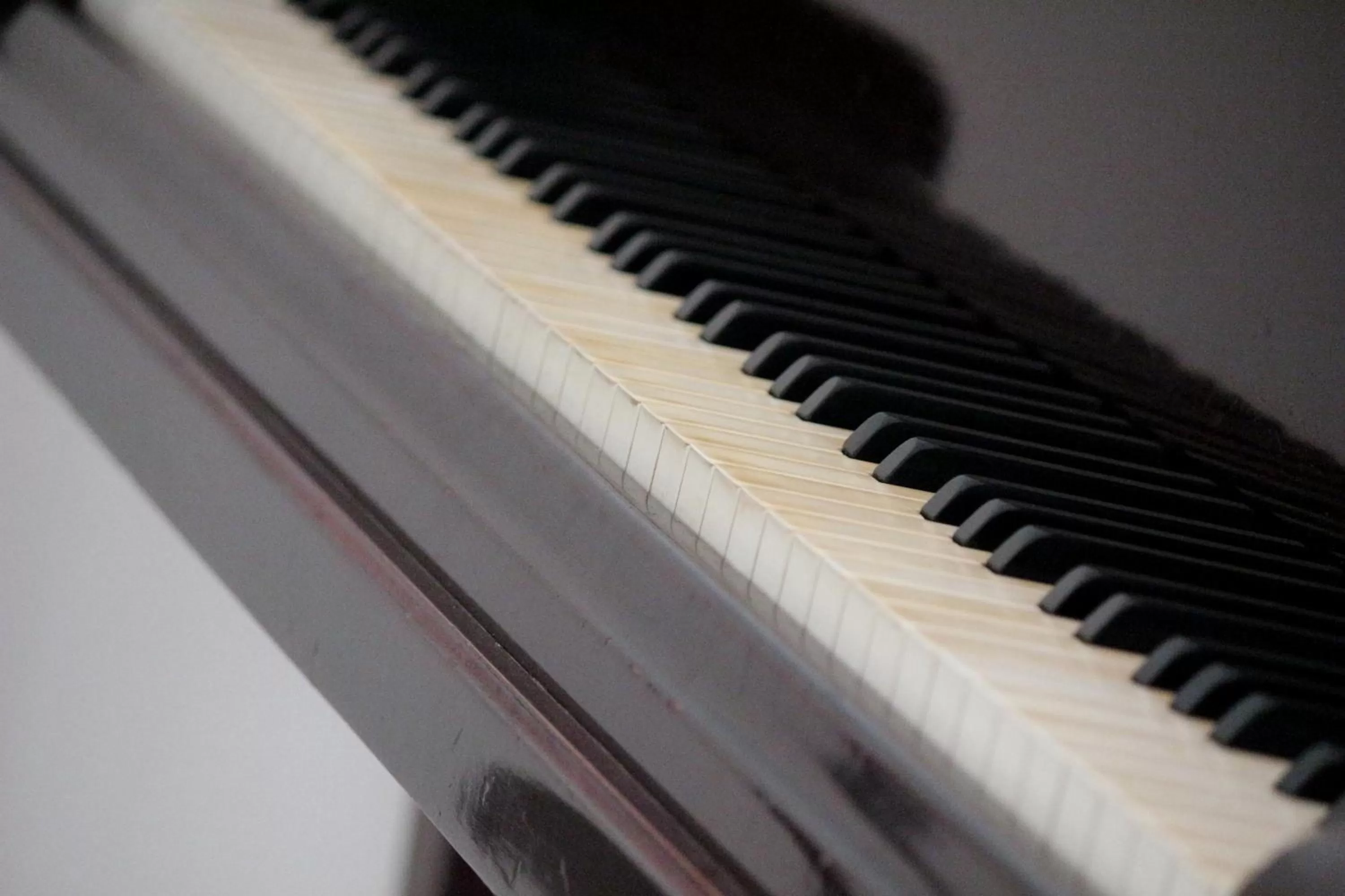 Lounge or bar in Hotel San Martin