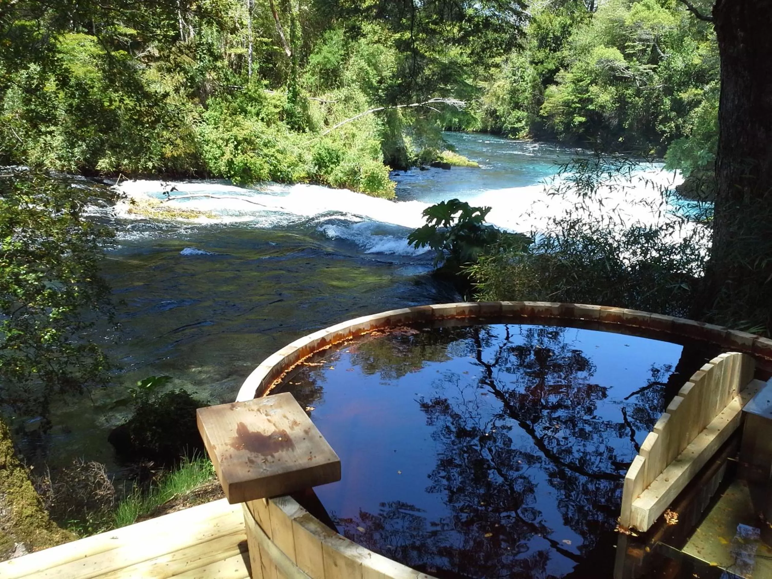 View (from property/room), Swimming Pool in Hotel Salto del Carileufu