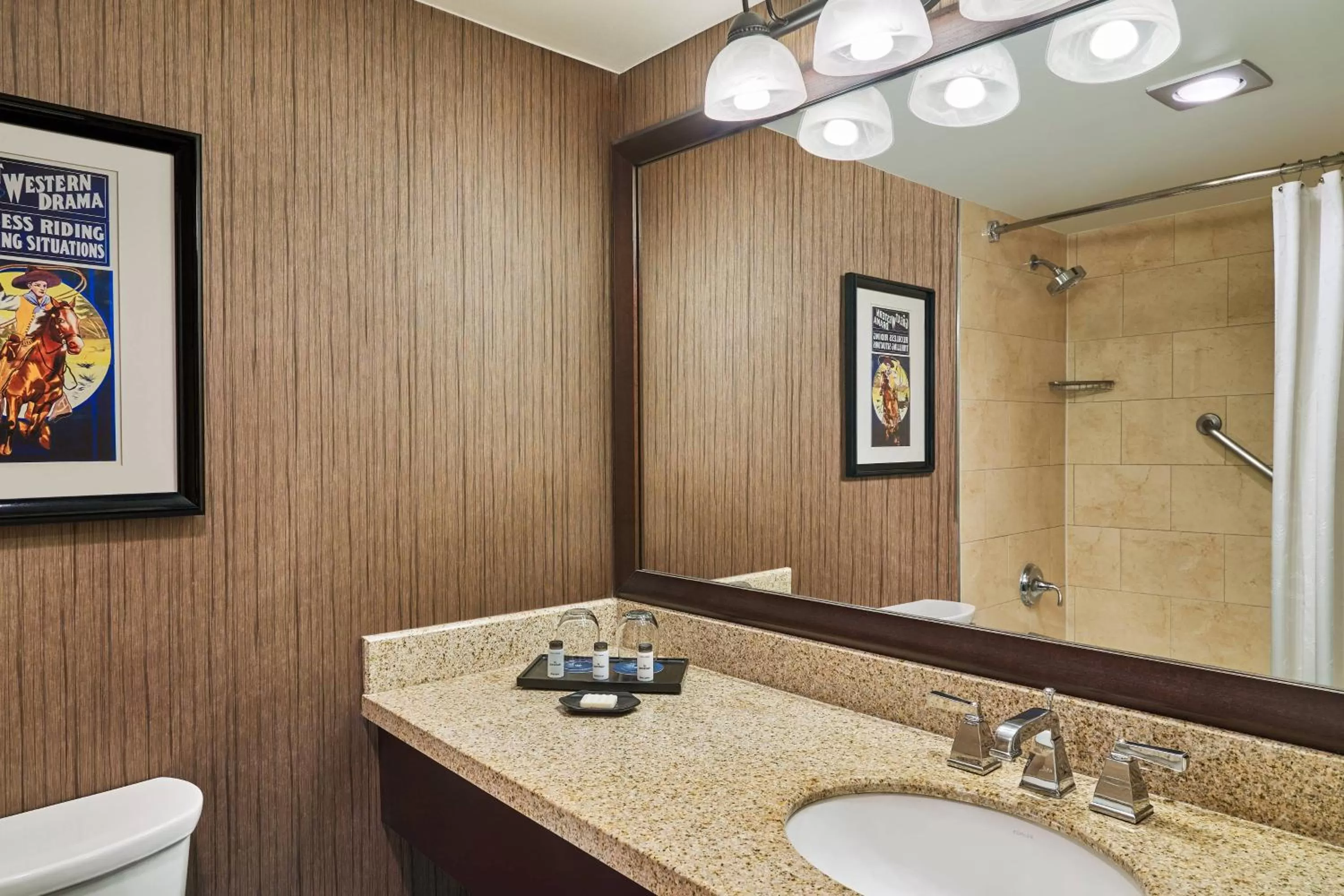 Bathroom in Sheraton North Houston at George Bush Intercontinental