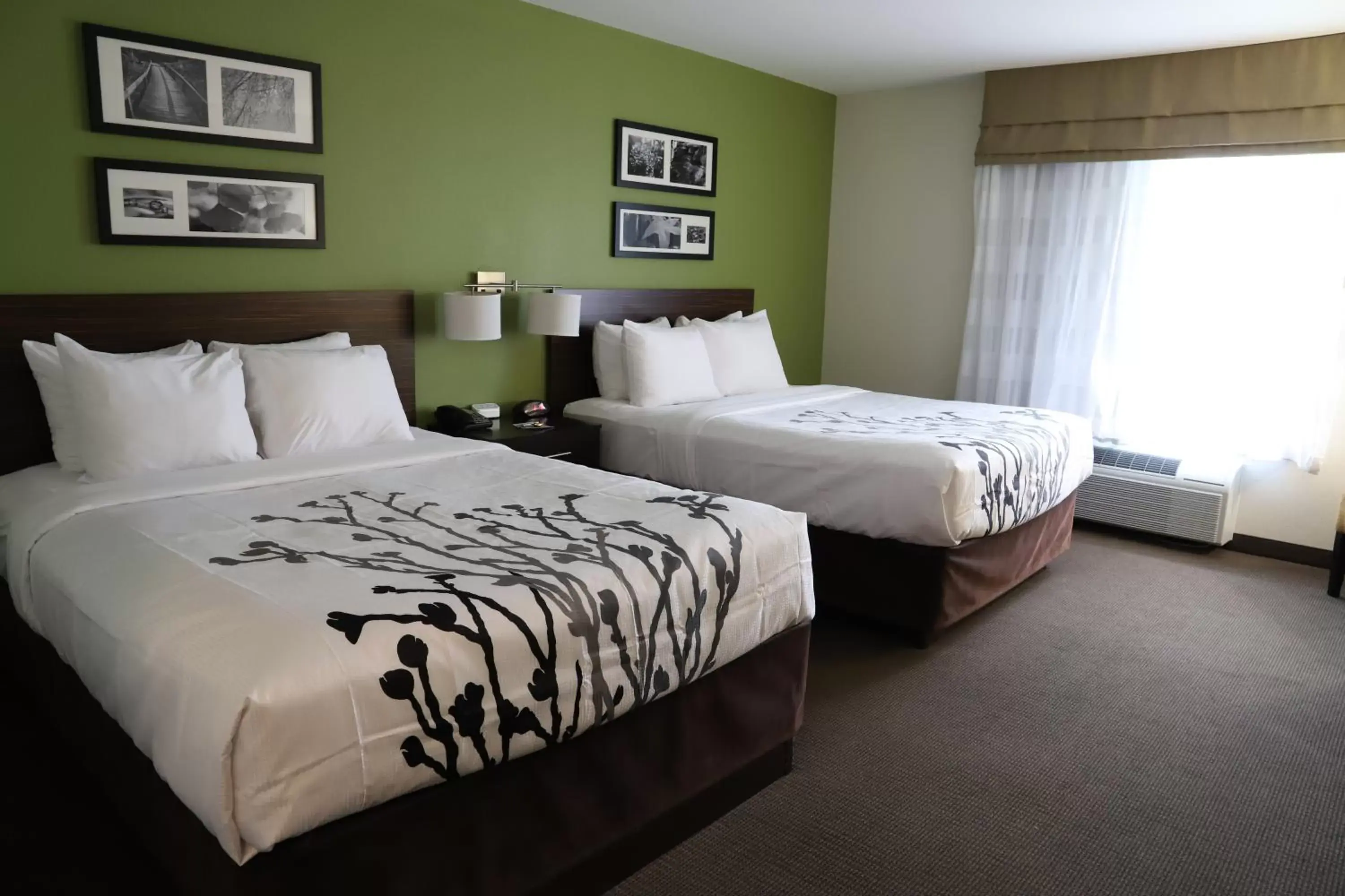 Sleep Inn Ellenboro Hwy 50 Sleep Inn Ellenboro Hwy 50