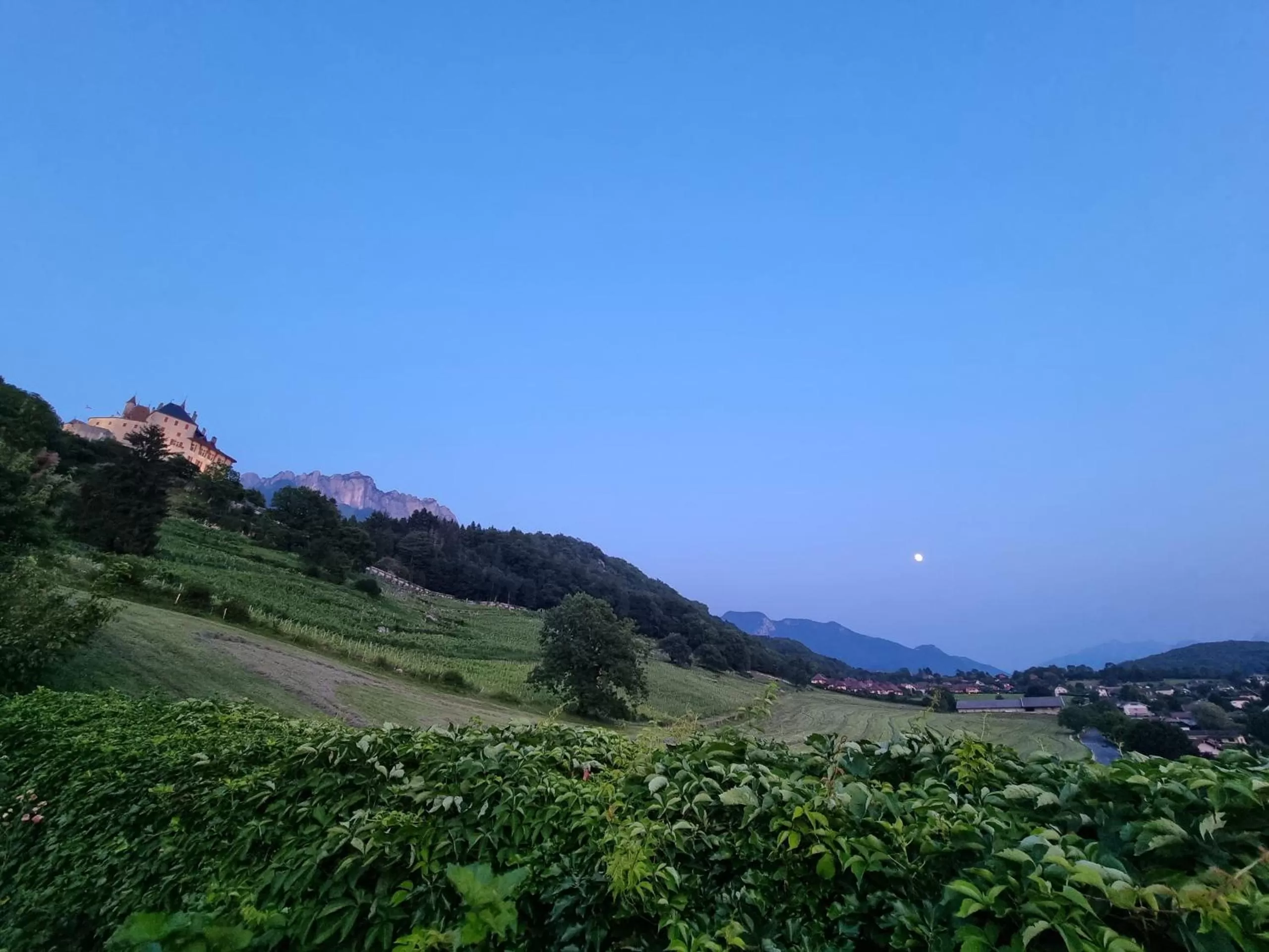 Garden in La Vallombreuse