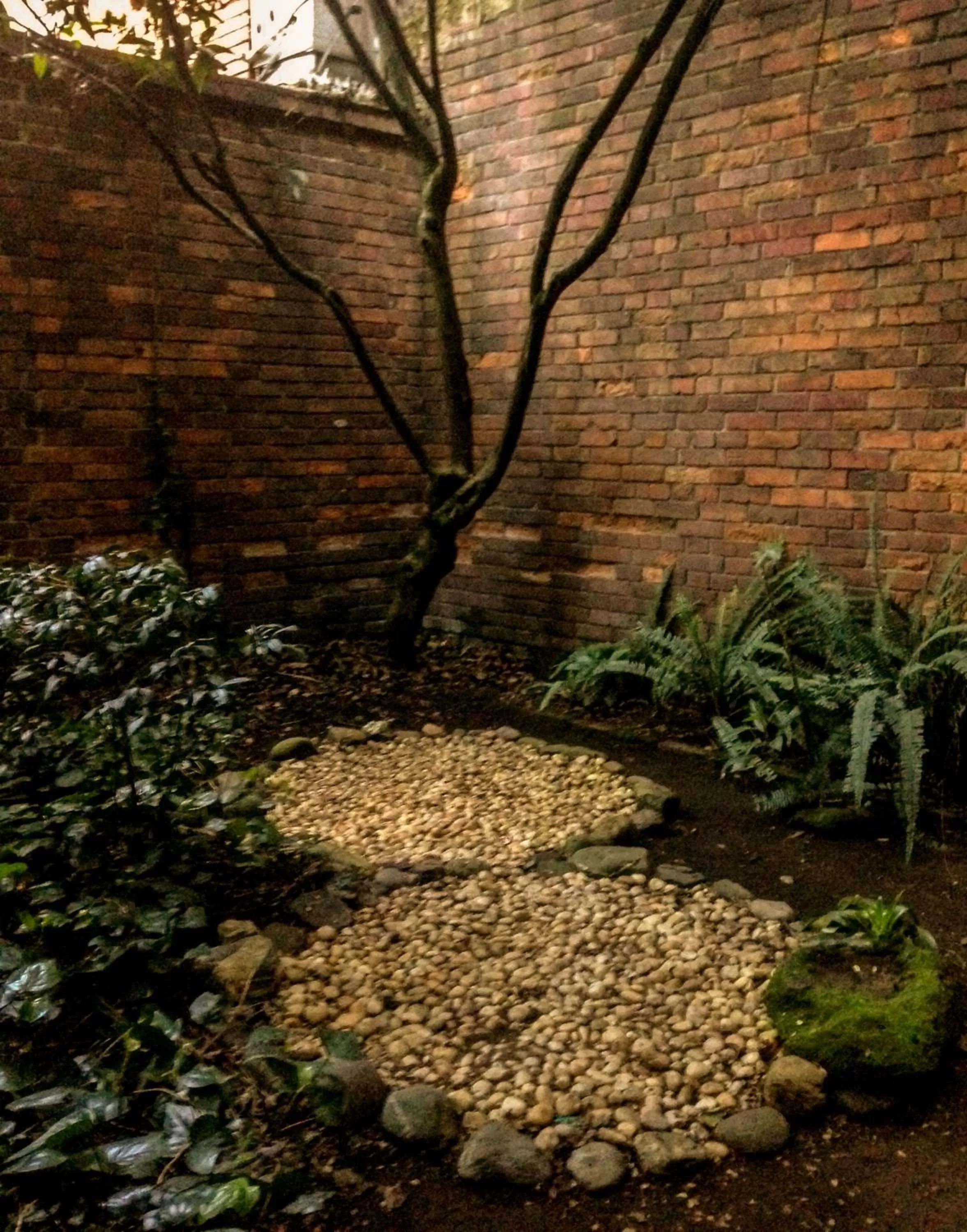 Garden in Magdalena Guest House