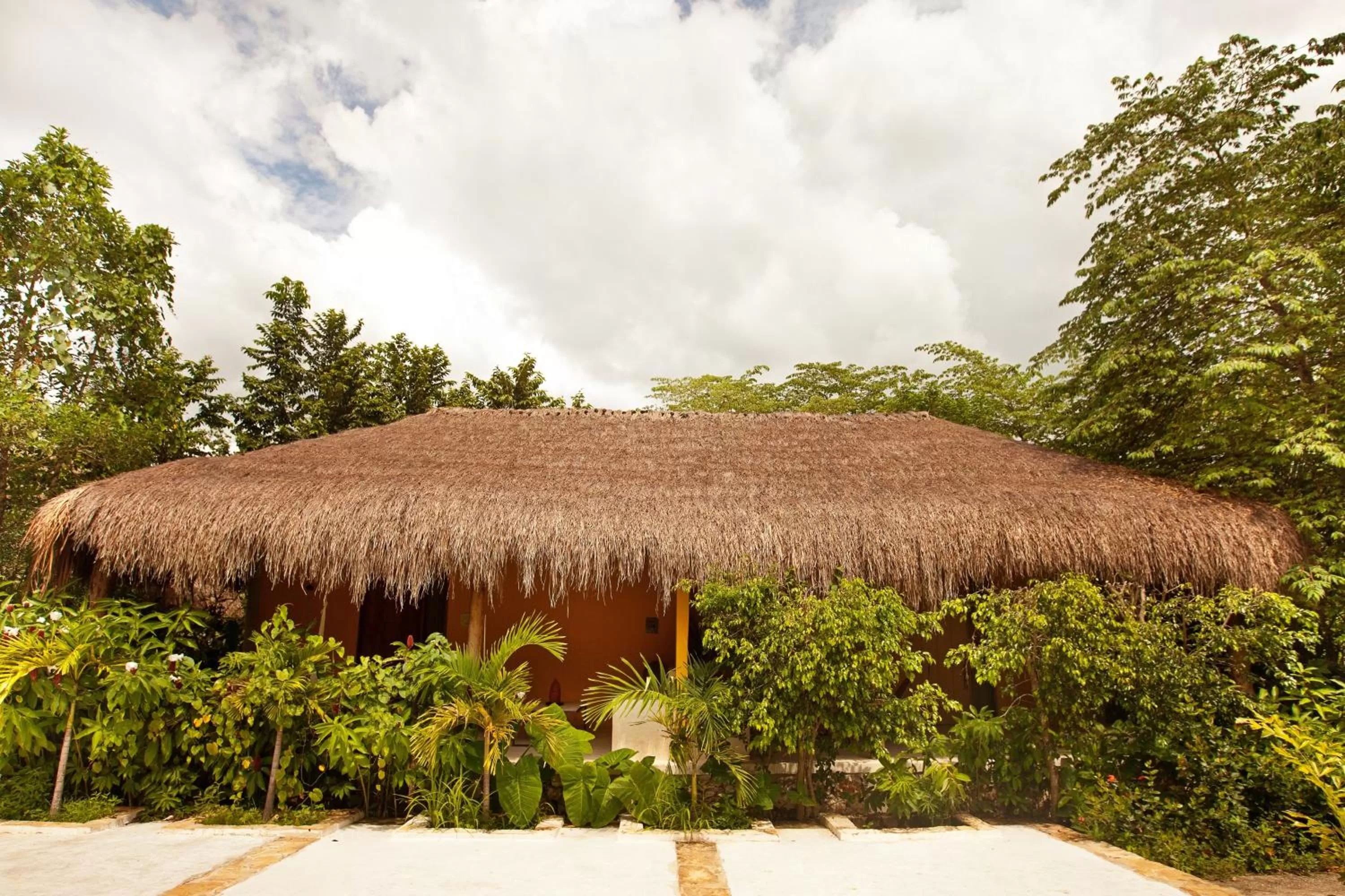 Property building in Piedra de Agua Palenque