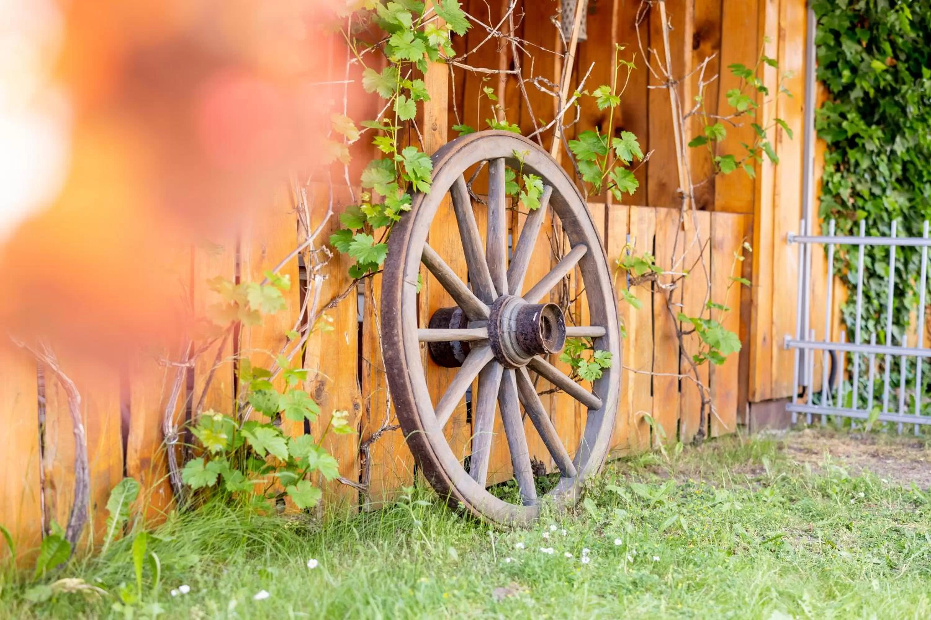 Garden in Kummerower Hof