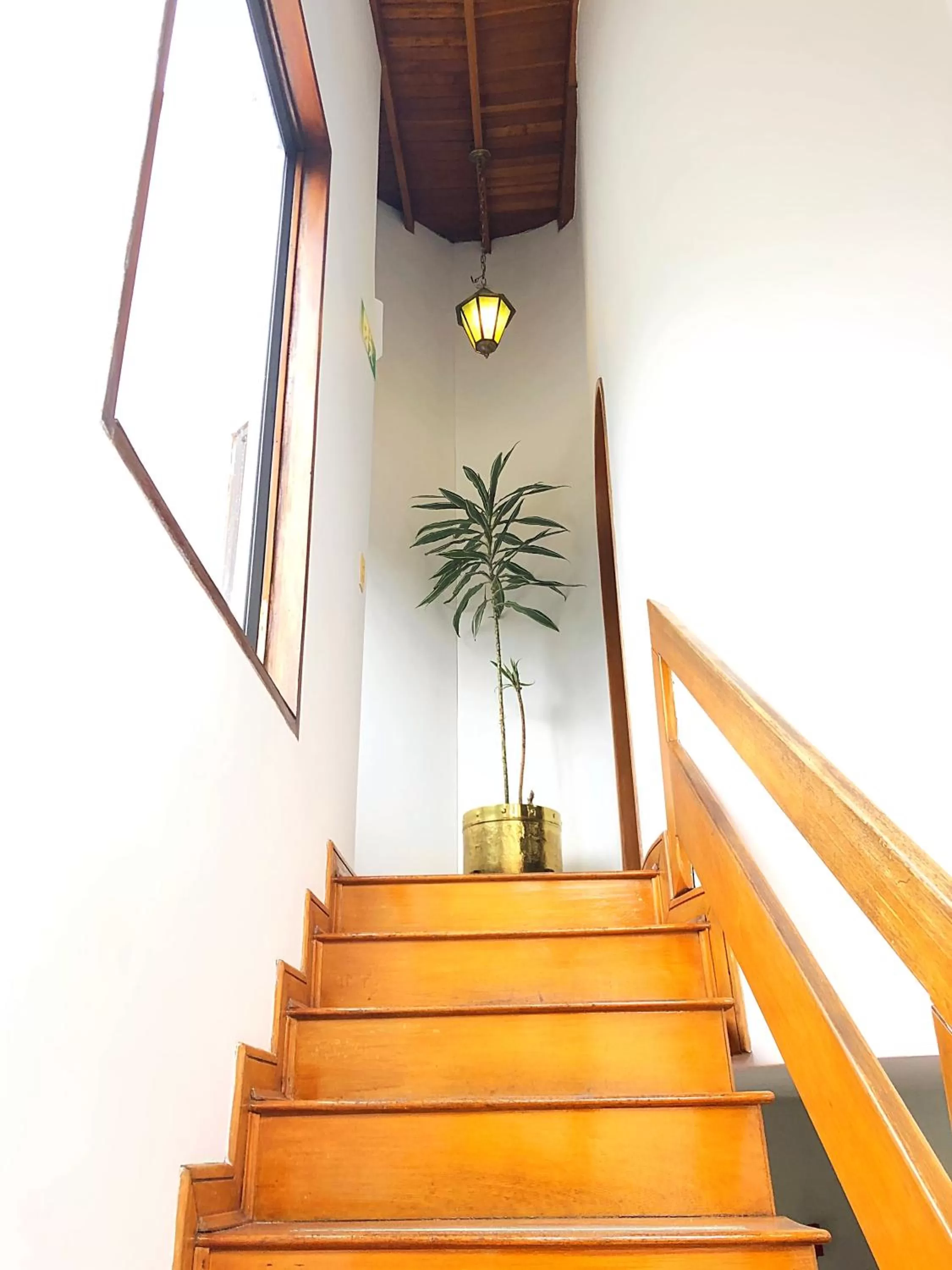 Facade/entrance in Casa Rosales