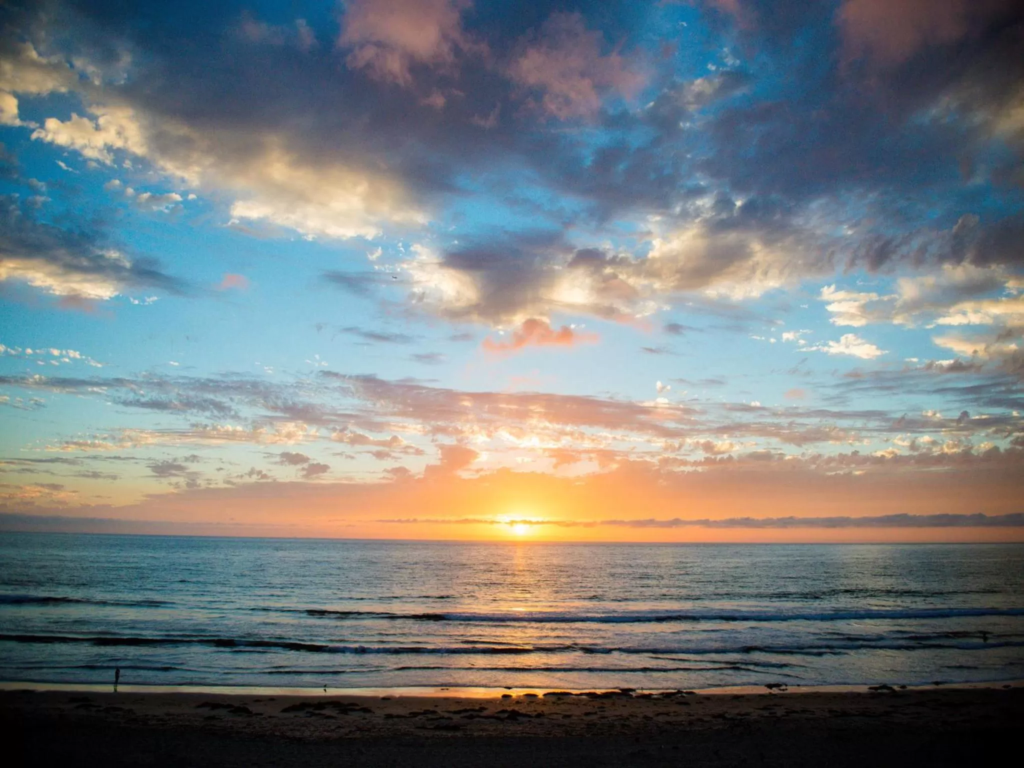 Natural landscape in Pacific Terrace Hotel